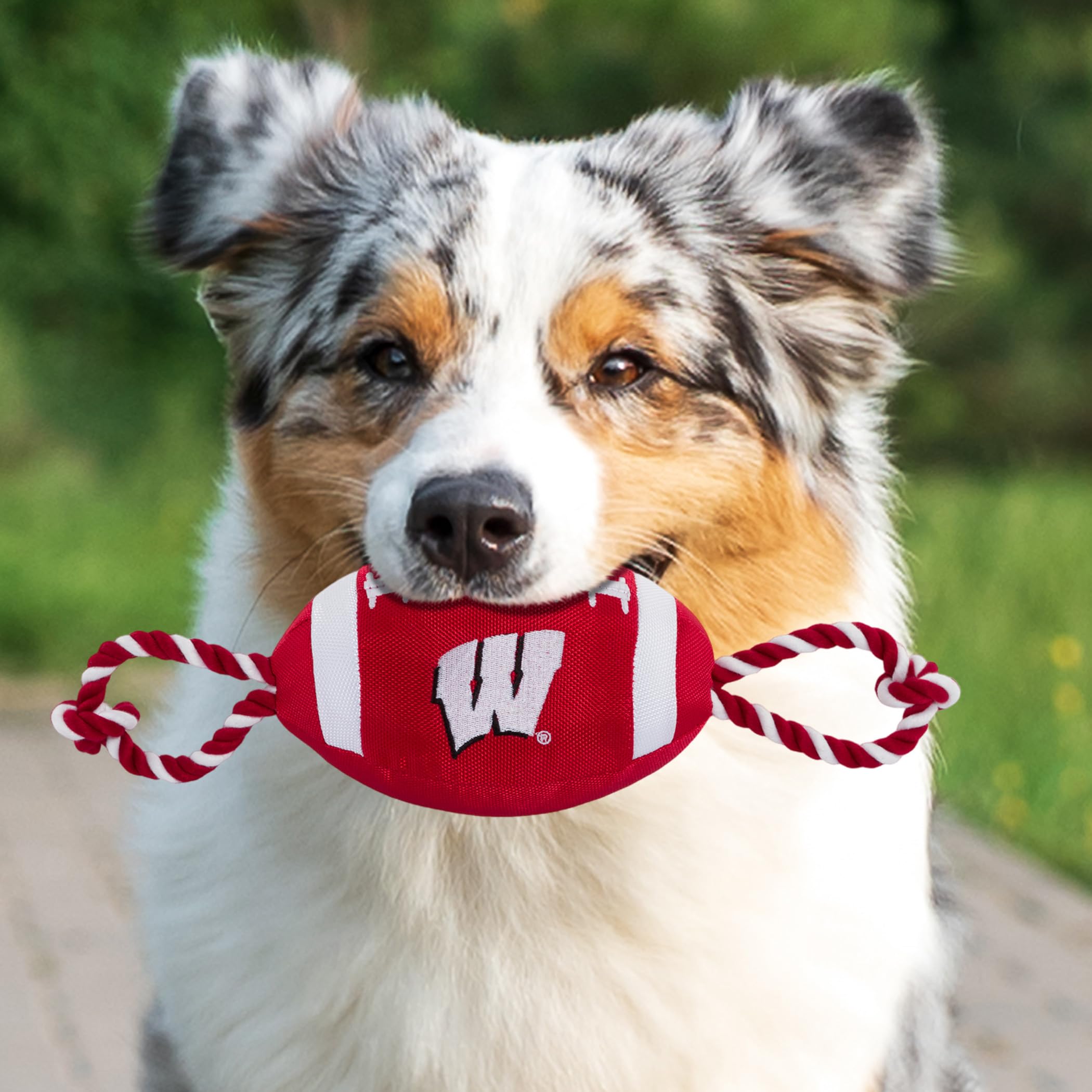 Pets First NCAA Wisconsin Badgers Football Dog Toy, Tough Quality Nylon Materials, Strong Pull Ropes, Inner Squeaker, Collegiate
