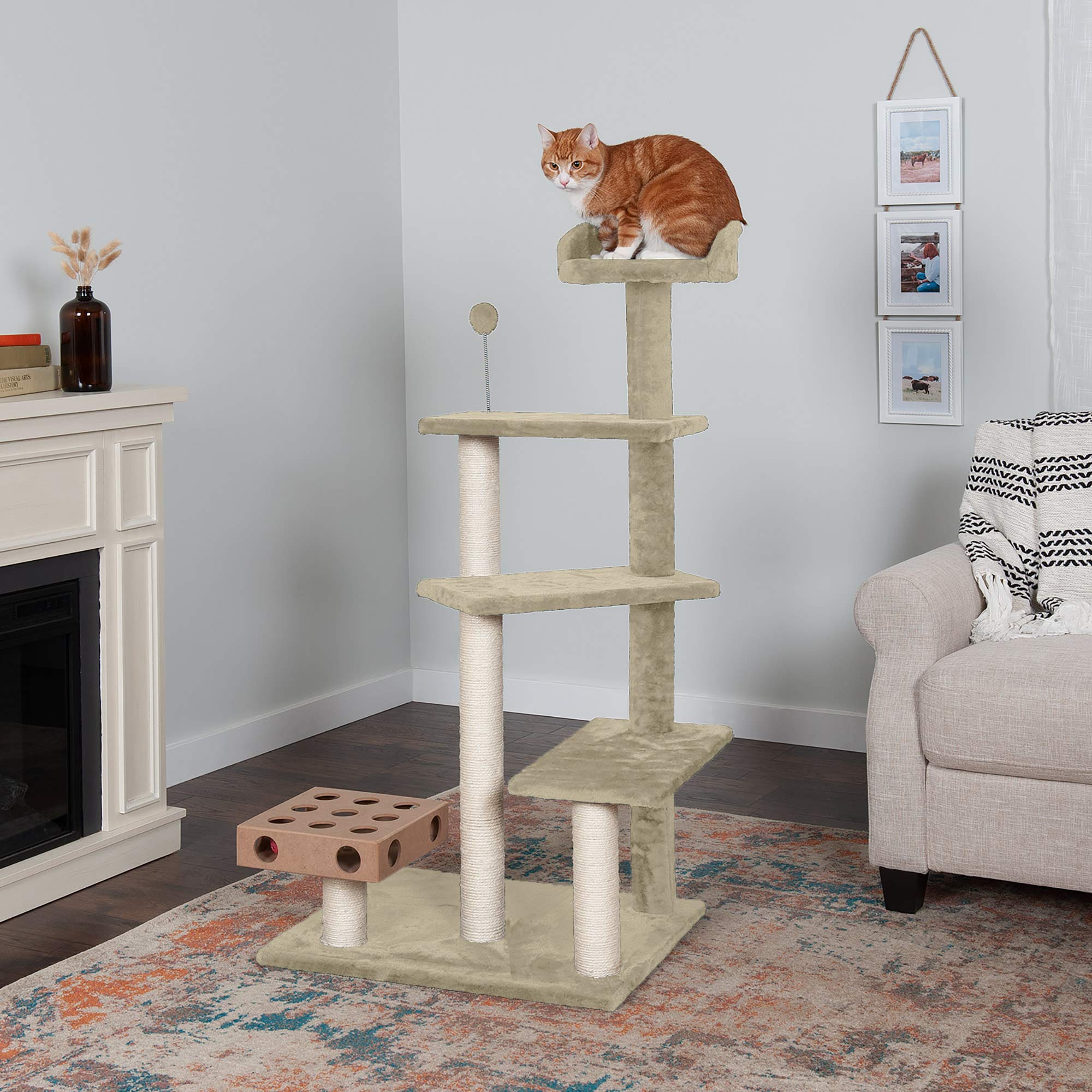 Furhaven 49.5 Tall Cat Tree for Indoor Cats, Ft. Sisal Scratching Posts, Plush Ball Toy, & Busy Box Toy - Tiger Tough Play Stair