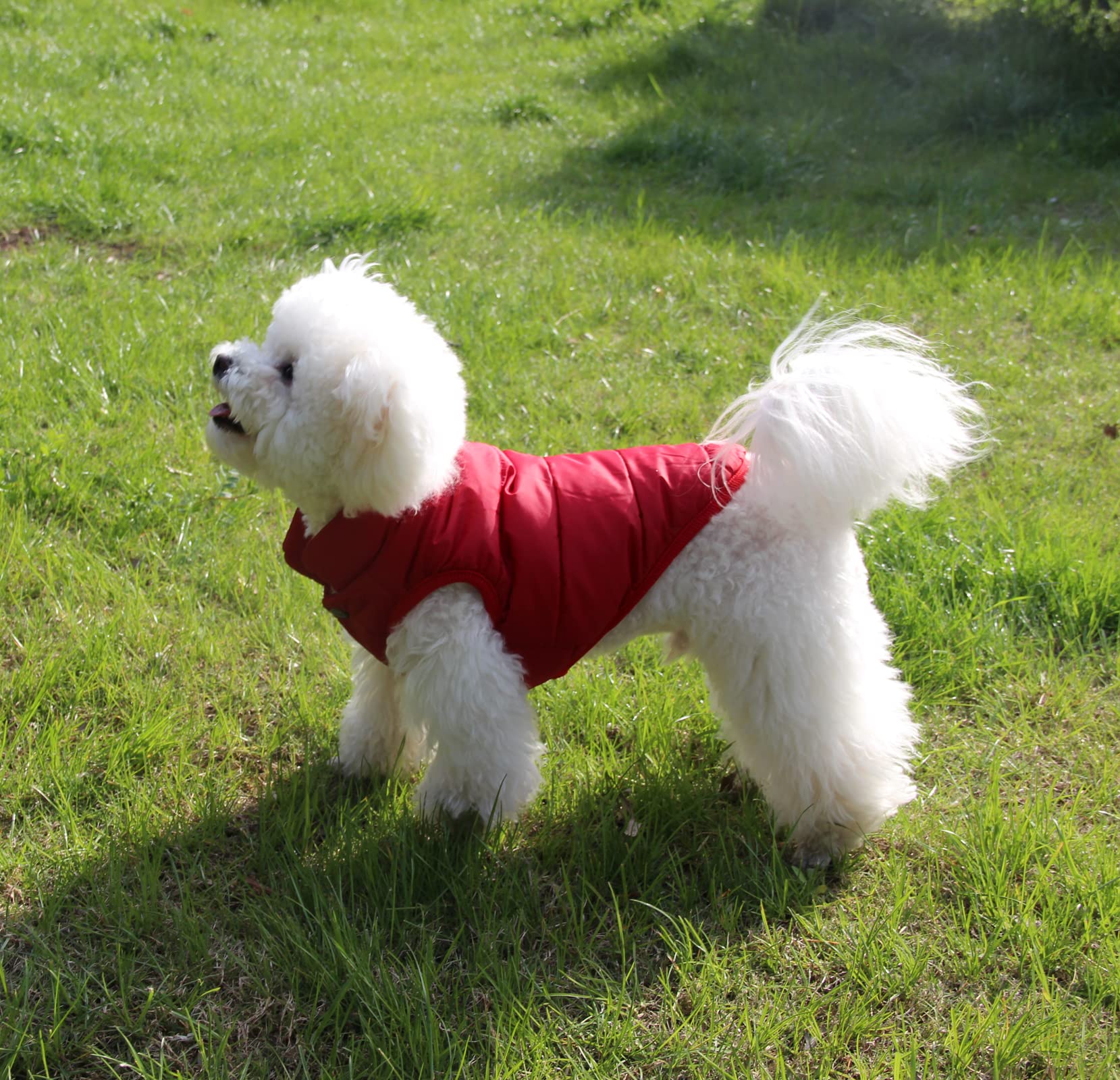 Joydaog 2 Layers Fleece Lined Warm Dog Jacket For Puppy Winter Cold Weather,Soft Windproof Small Dog Coat,Red M
