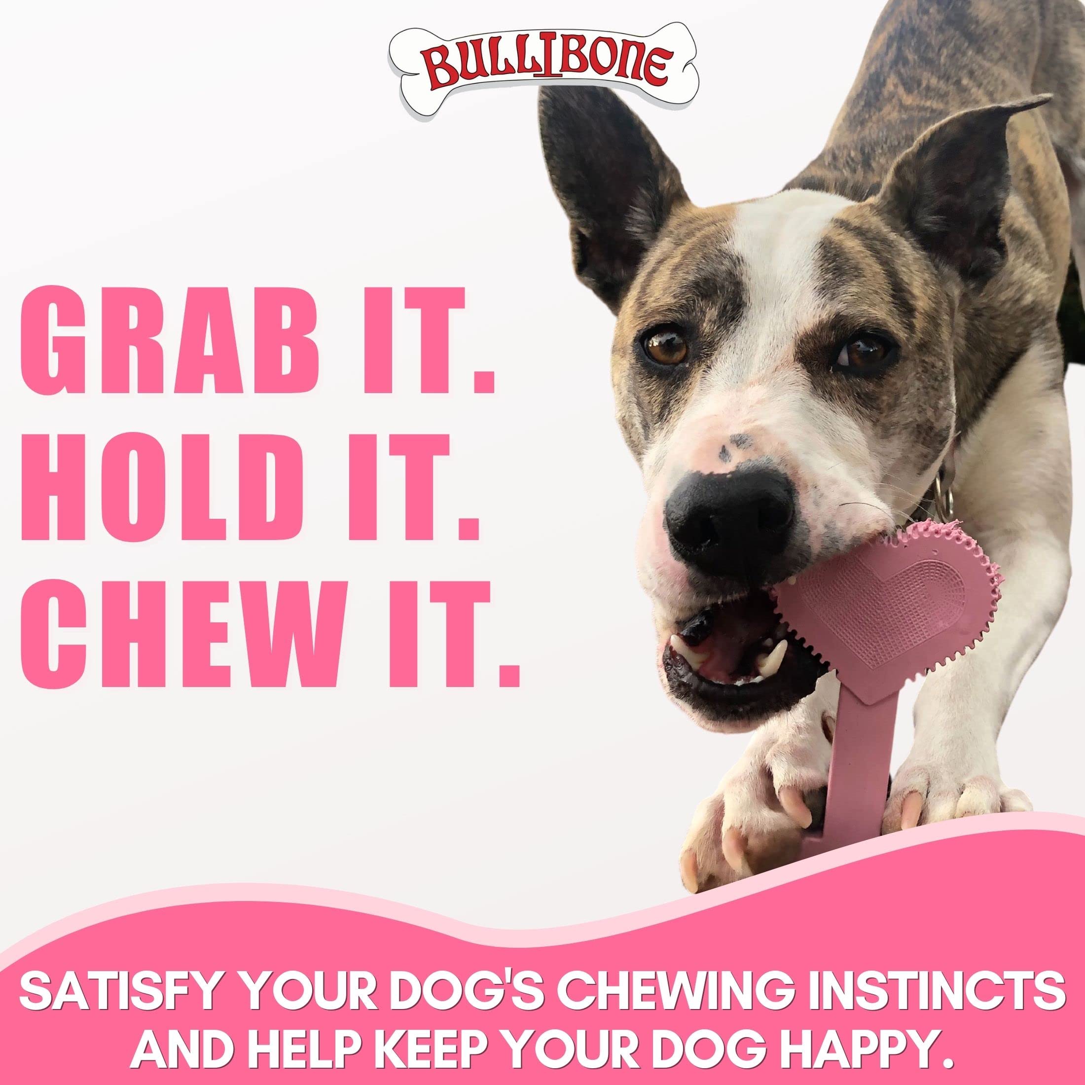 Bullibone Nylon Dog Chew Toy Nylon Bone - Improves Dental Hygiene, Easy To Grip Bottom, And Permeated With Flavor (Peppermint, Large - 2 Pack)