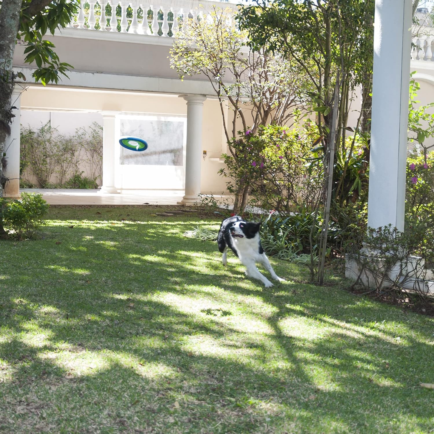 Chuckit! Lite Flight Dog Fetch Toy, Large (10 Inch Diameter)