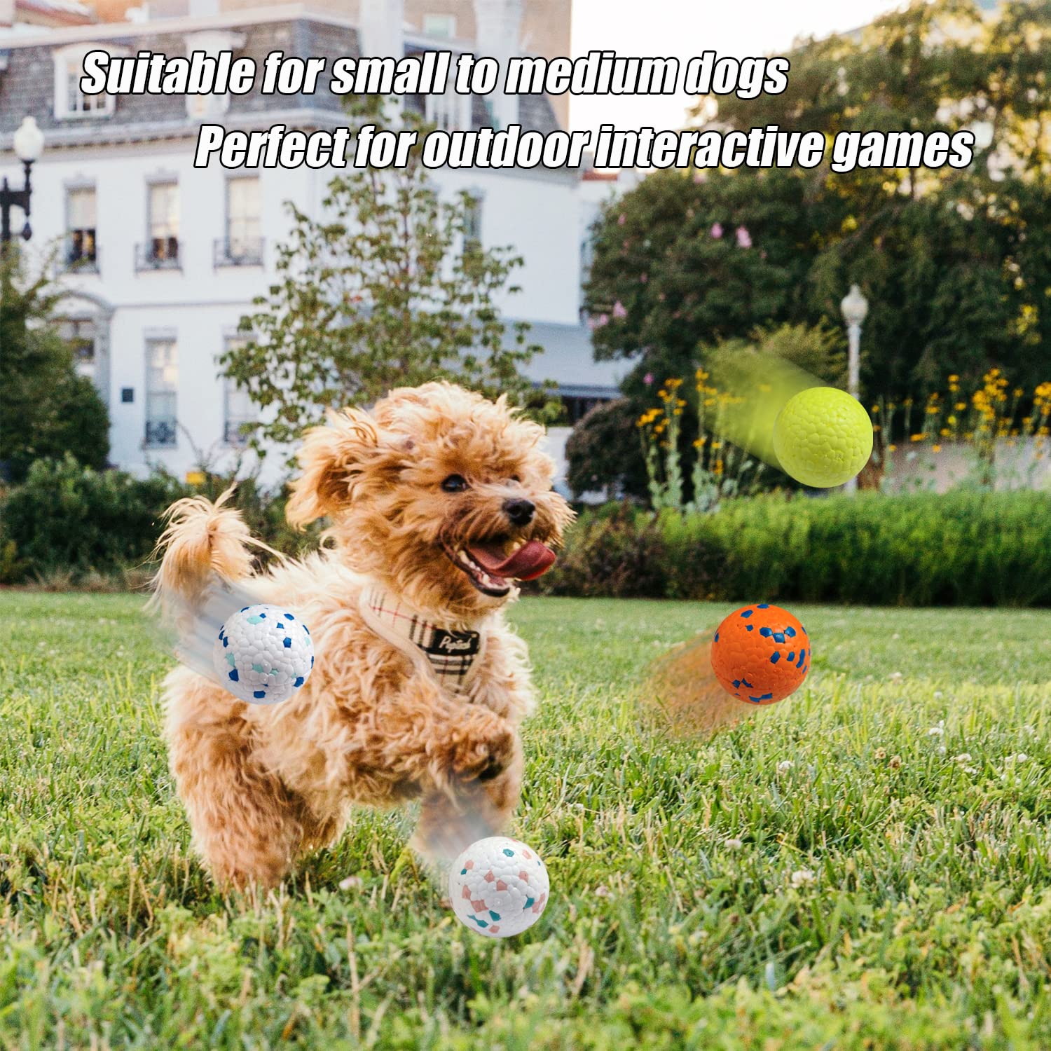 Dlder Dog Balls For Aggressive Chewers,Indestructible Floating Bouncy Balls For Dogs Small Breed,Lightweight Durable Solid Dog B