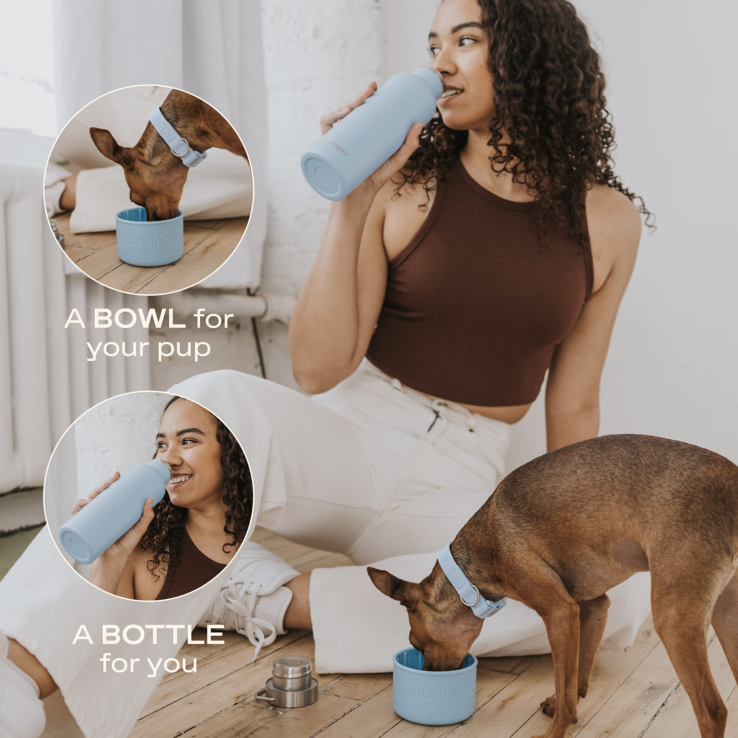 Springer Dog And Me Water Bottle, Stainless Steel Insluated Water Bottle, Keeps Water Cold For 12 Hours (Sky Blue)