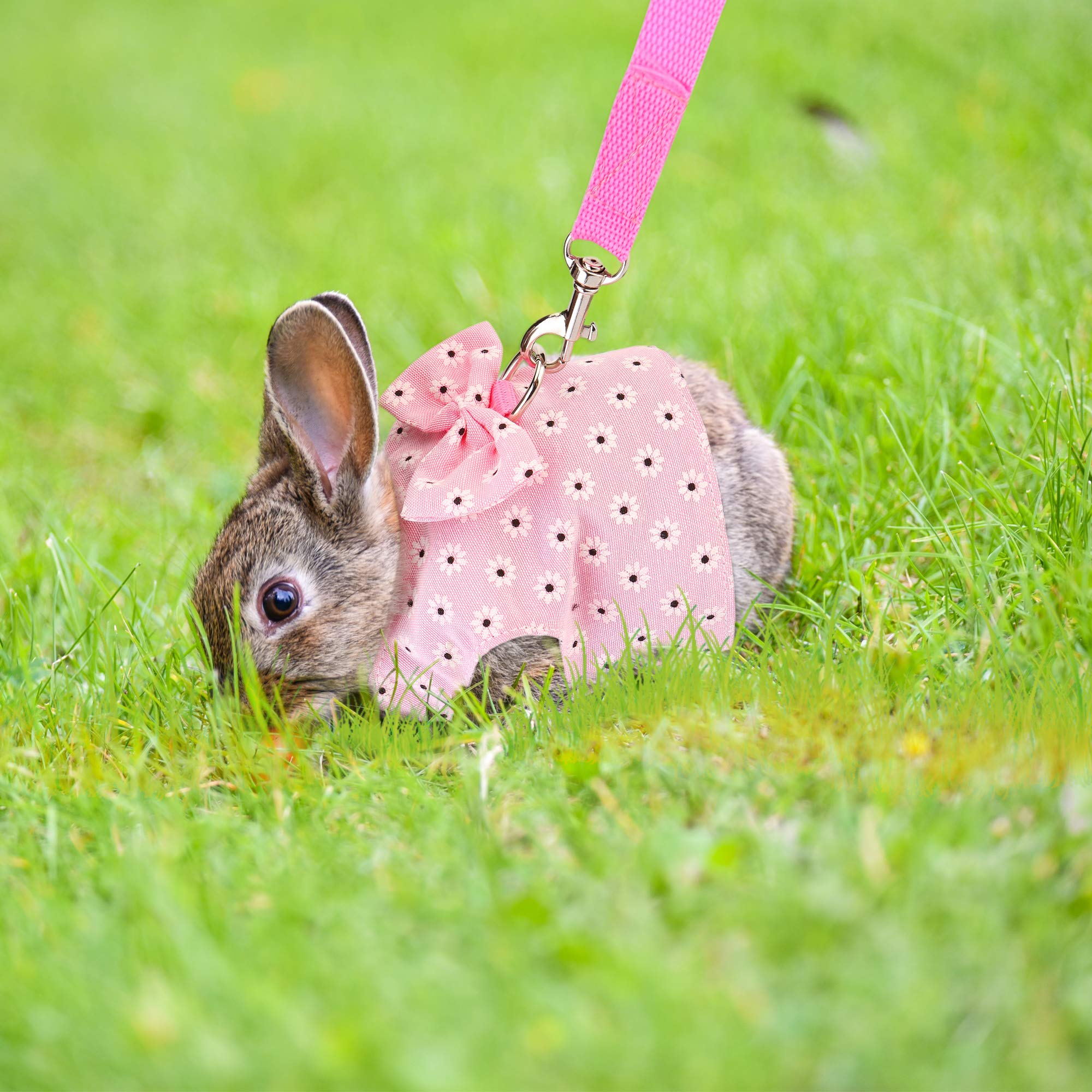Filhome Adjustable Rabbit Harness Leash, Bunny Harness Leash Cute Vest Harness For Rabbit Ferret Bunny Kitten Guinea Pig Walking