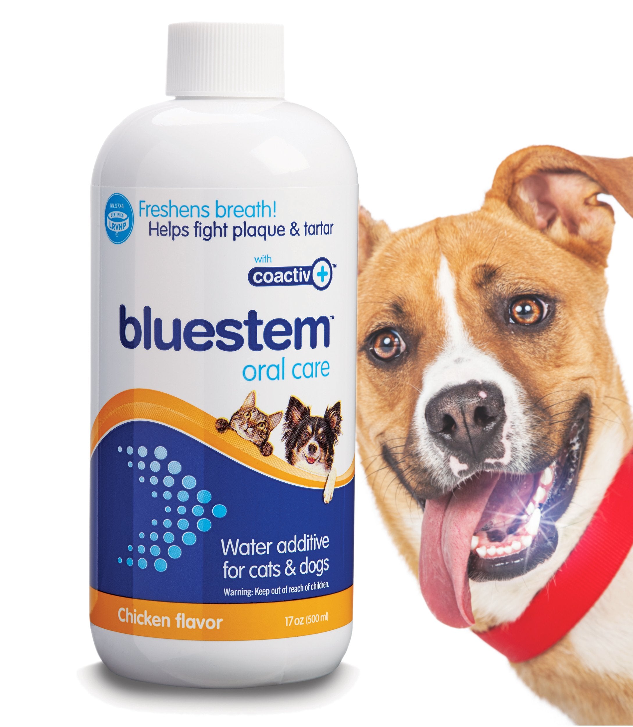 bluestem Freshens Dog and Cat Breath - Safe and Effective Dental Water Additive - 17 Ounce - Chicken