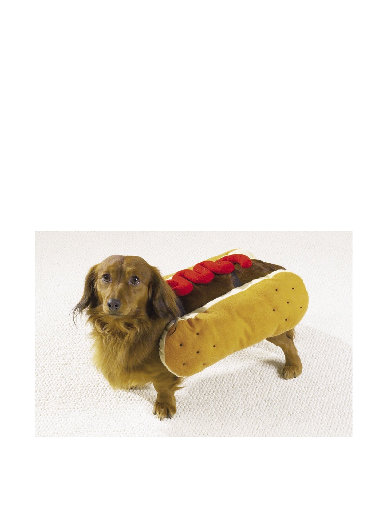 Casual Canine Hot Diggity Dog Costume, Medium (fits lengths up to 16), Ketchup