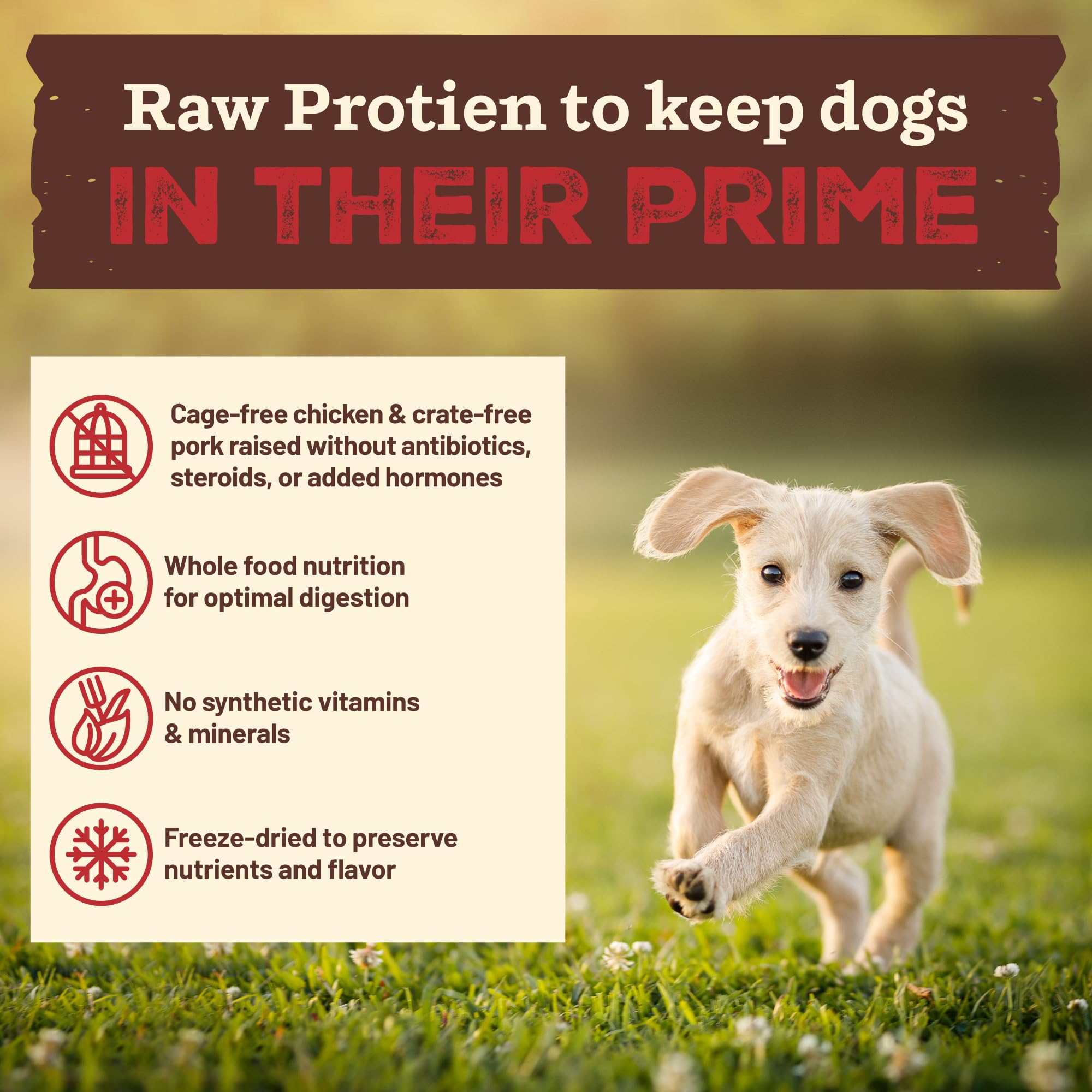 Primal Kibble in The Raw, Freeze Dried Dog Food, Puppy Recipe, Scoop & Serve, Made with Raw Protein, Whole Ingredient Nutrition,