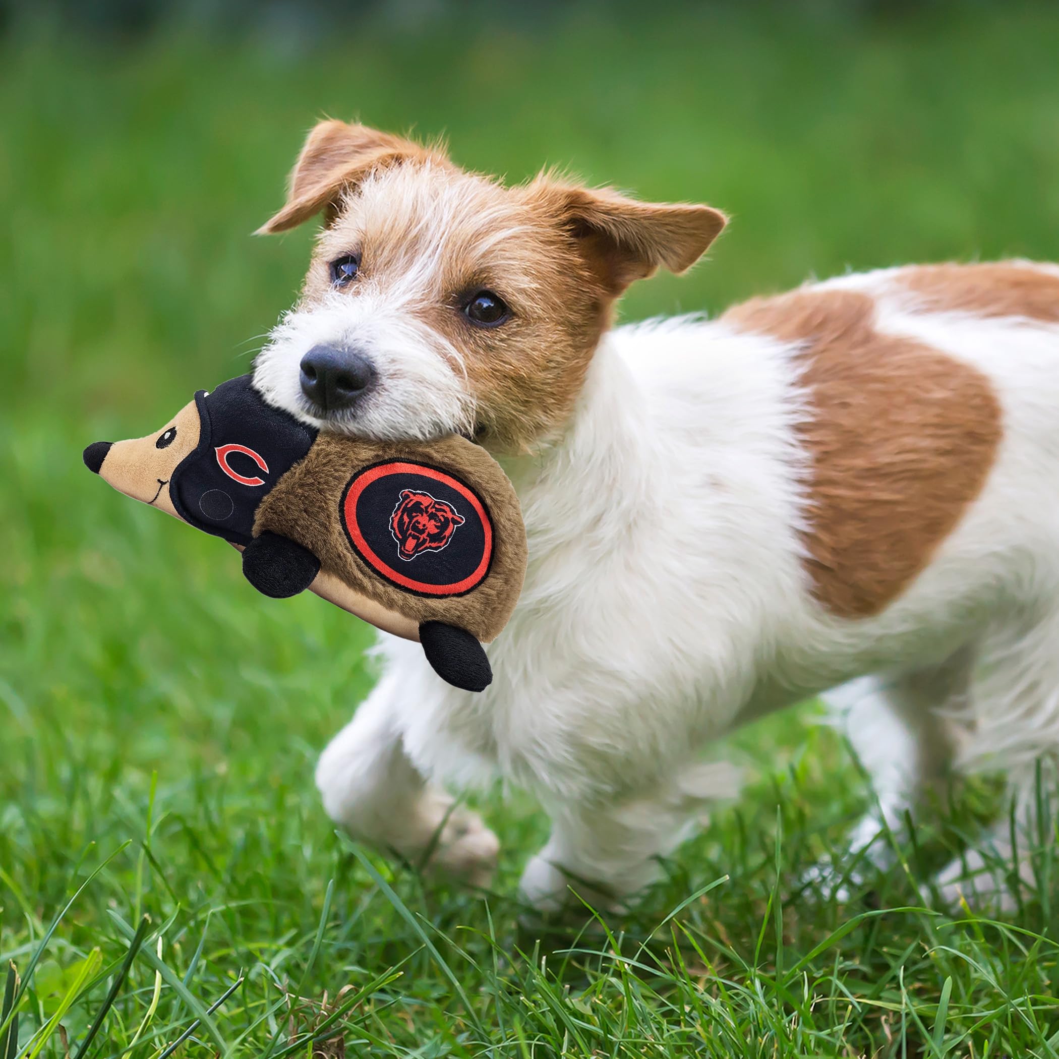 Nfl Chicago Bears Plush Hedgehog Toy For Dogs & Cats, Cool Soft Pet Toy For Fun And Interactive Play, Dog Chew Toy With Squeaker
