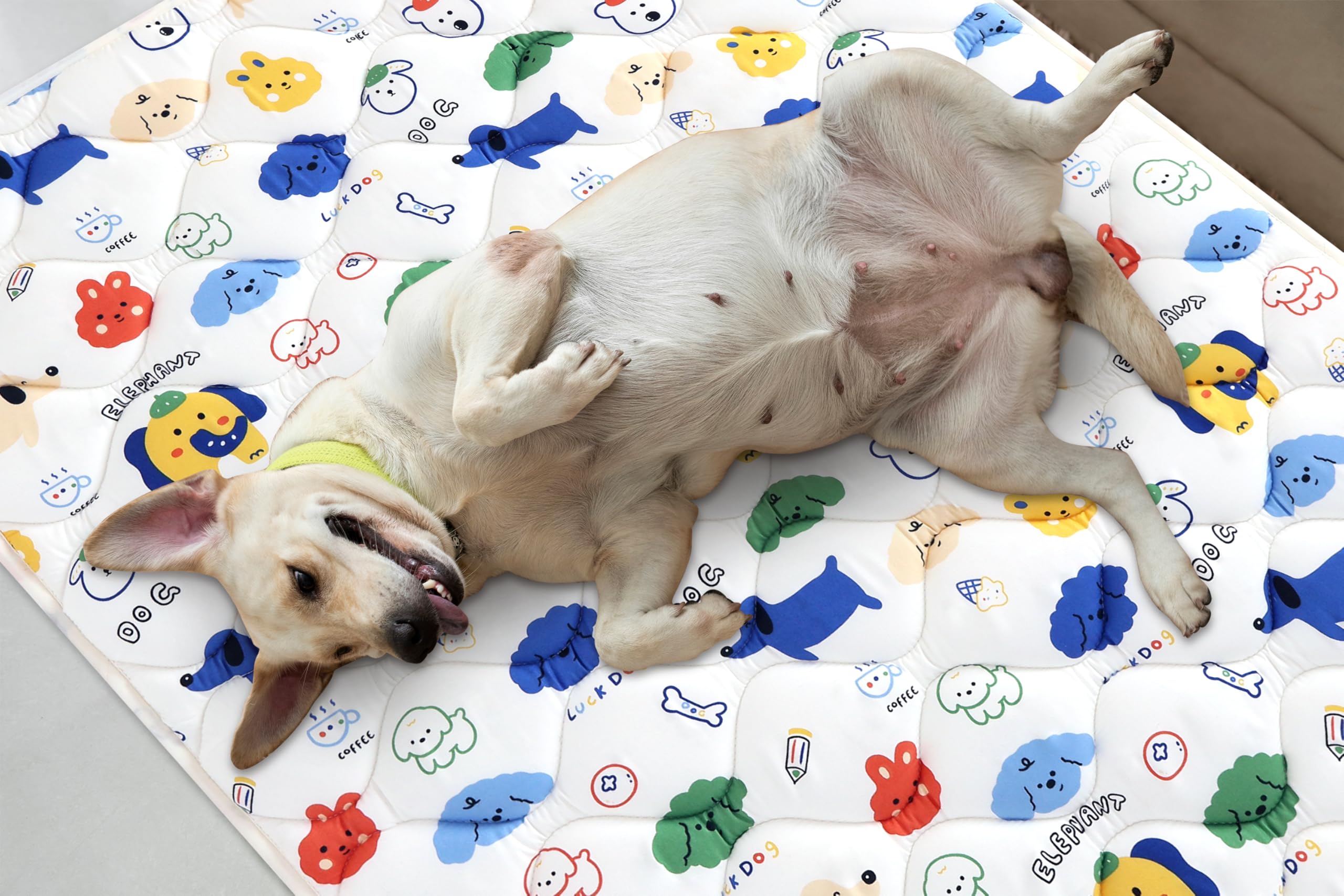 Washable Dog Crate Mat, Ultra Soft Dog Bed Mat for Sleeping with Anti-Slip Bottom for Large Medium Small Dogs Breeds (59'' X 35'