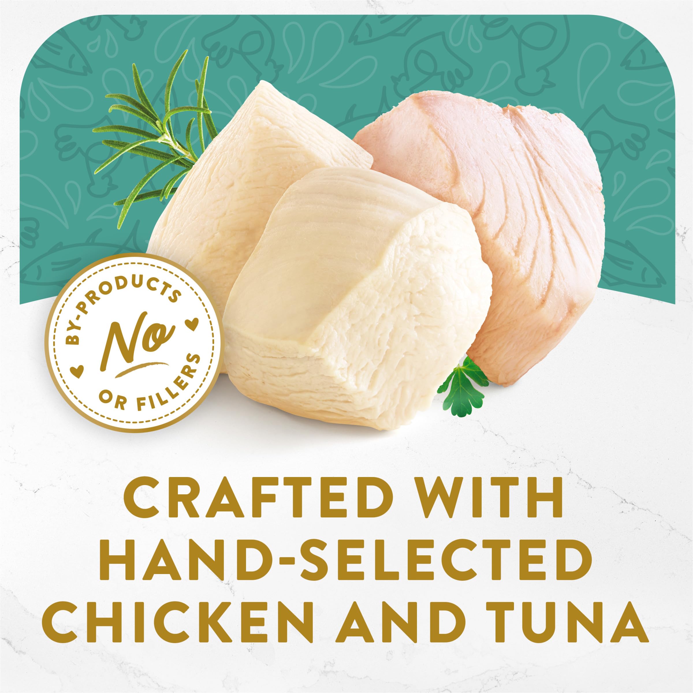 Purina Fancy Feast Appetizers Lickable Grain Free Wet Cat Food Topper White Meat Chicken and Flaked Tuna Appetizer - (Pack of 10