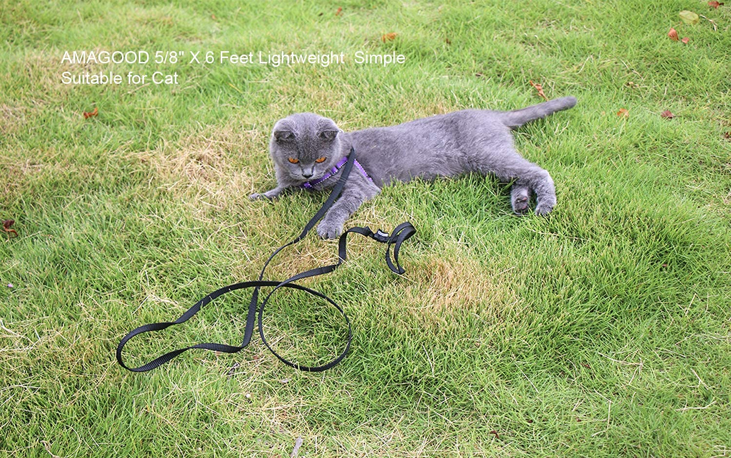 6 Ft Puppy/Dog Leash, Strong And Durable Traditional Style Leash With Easy To Use Collar Hook,Dog Lead Great For Small And Medium And Large Dog(Black,5/8' X 6 Feet) (Black)