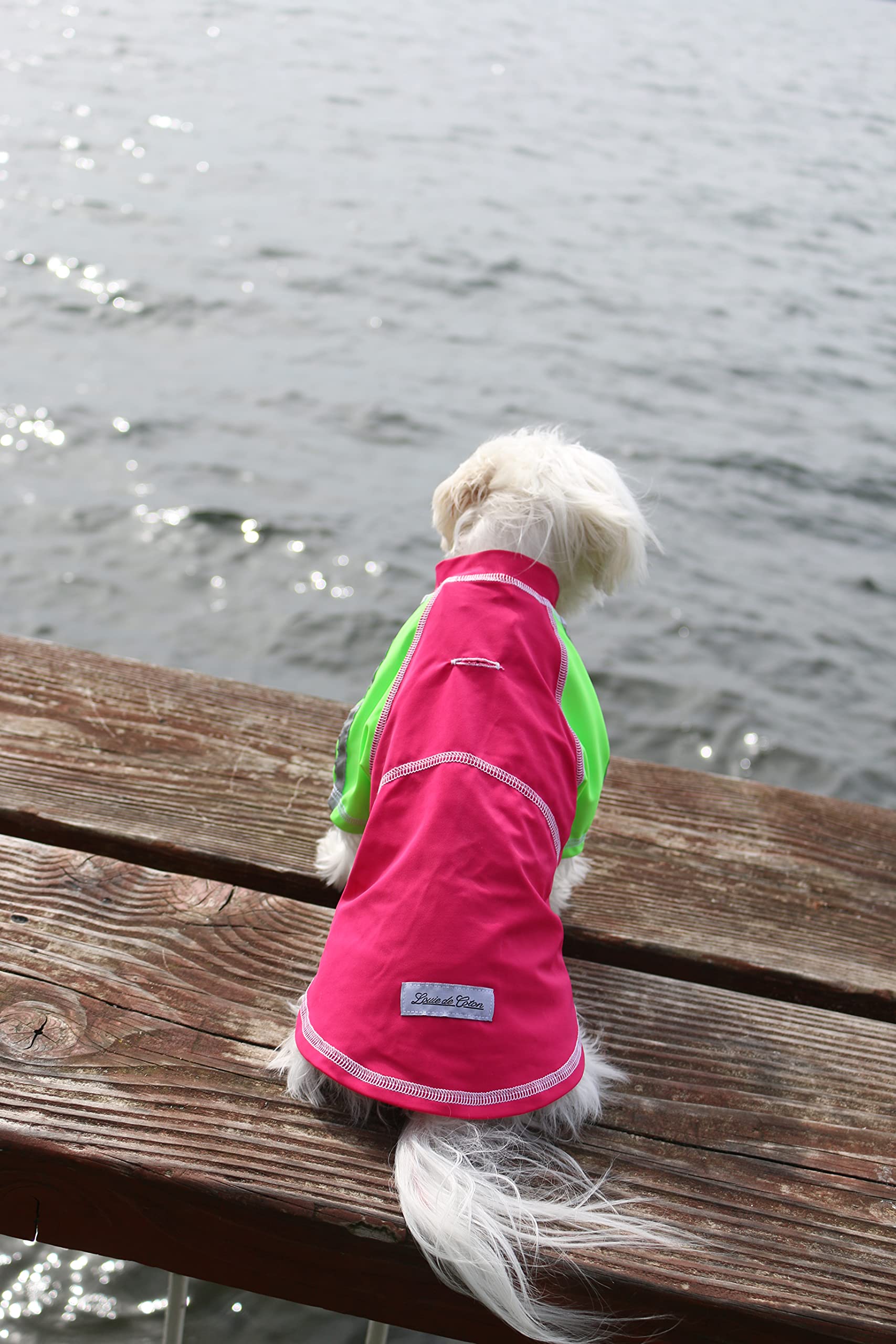 Louie De Coton Dog Clothes | Dog Shirts For Large Dogs | Dog Sunscreen Cooling T-Shirt For Dogs With Upf50+ Max Protection From