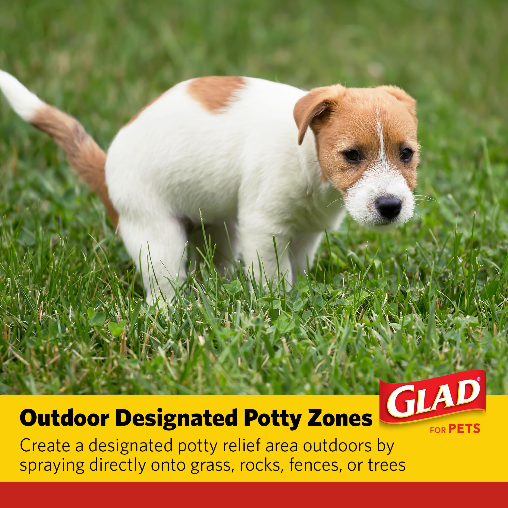 Glad for Pets Attractant Spray for Potty Training Dogs & Puppies, Peanut Butter Scent - Effective Dog Potty Training Spray, Indo