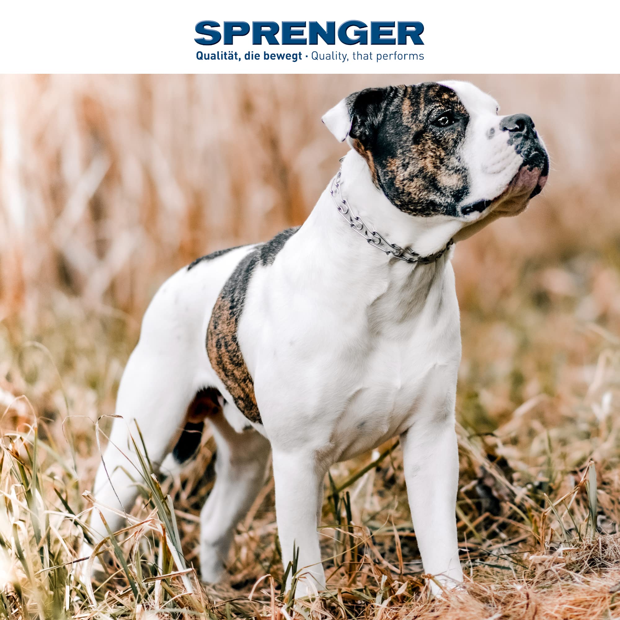 Herm Sprenger Stainless Steel Dog Collar With Swivel D-Ring, 3 Extra Links, 30 Comfort Tips For Small Medium Large Dogs Training