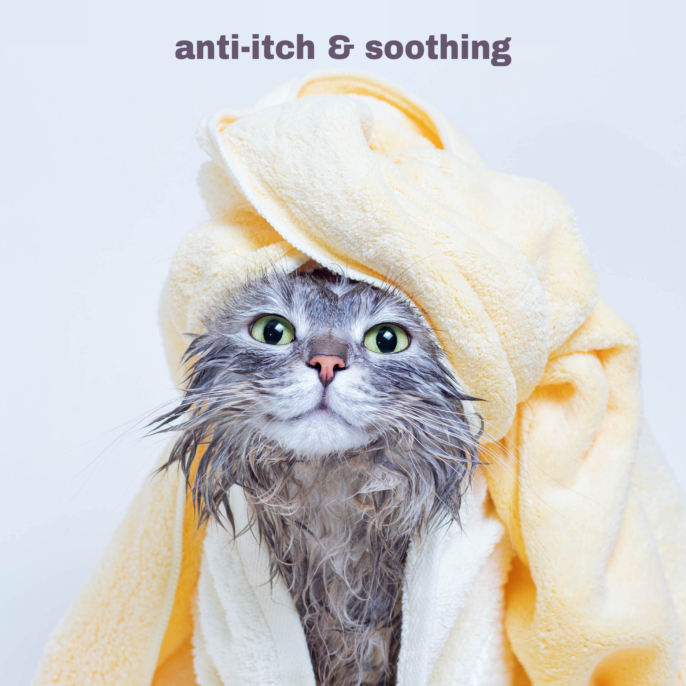 Mighty Meow Soothing Hypoallergenic Cat Shampoo - Easy At-Home Cat Grooming | Deodorizes | Gentle & Anti-Itch | Natural & Allerg