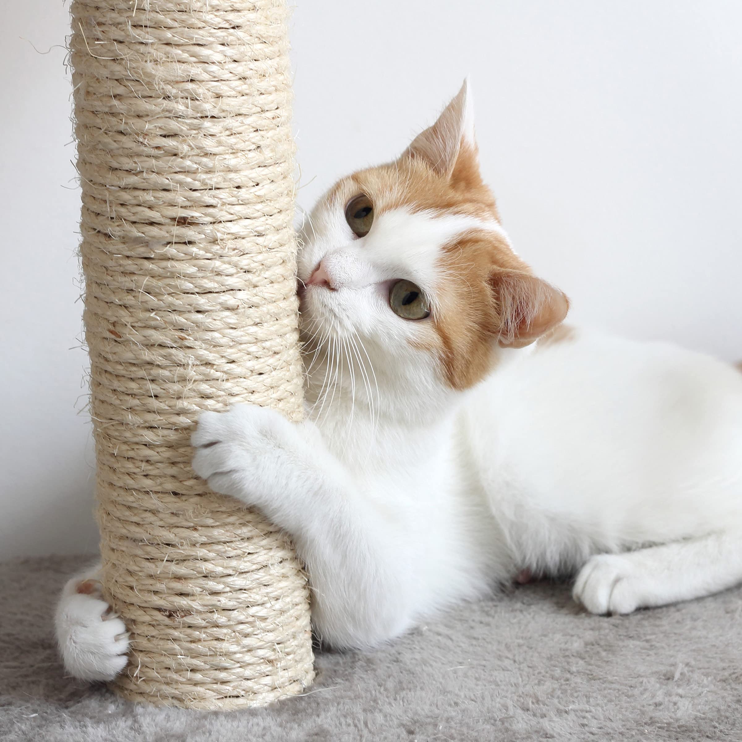 Cat Tree - 6-Foot Cat Tower For Indoor Cats With Napping Perches, Kitty Condo, 9 Cat Scratching Posts, 2 Hanging Toys, And Rope