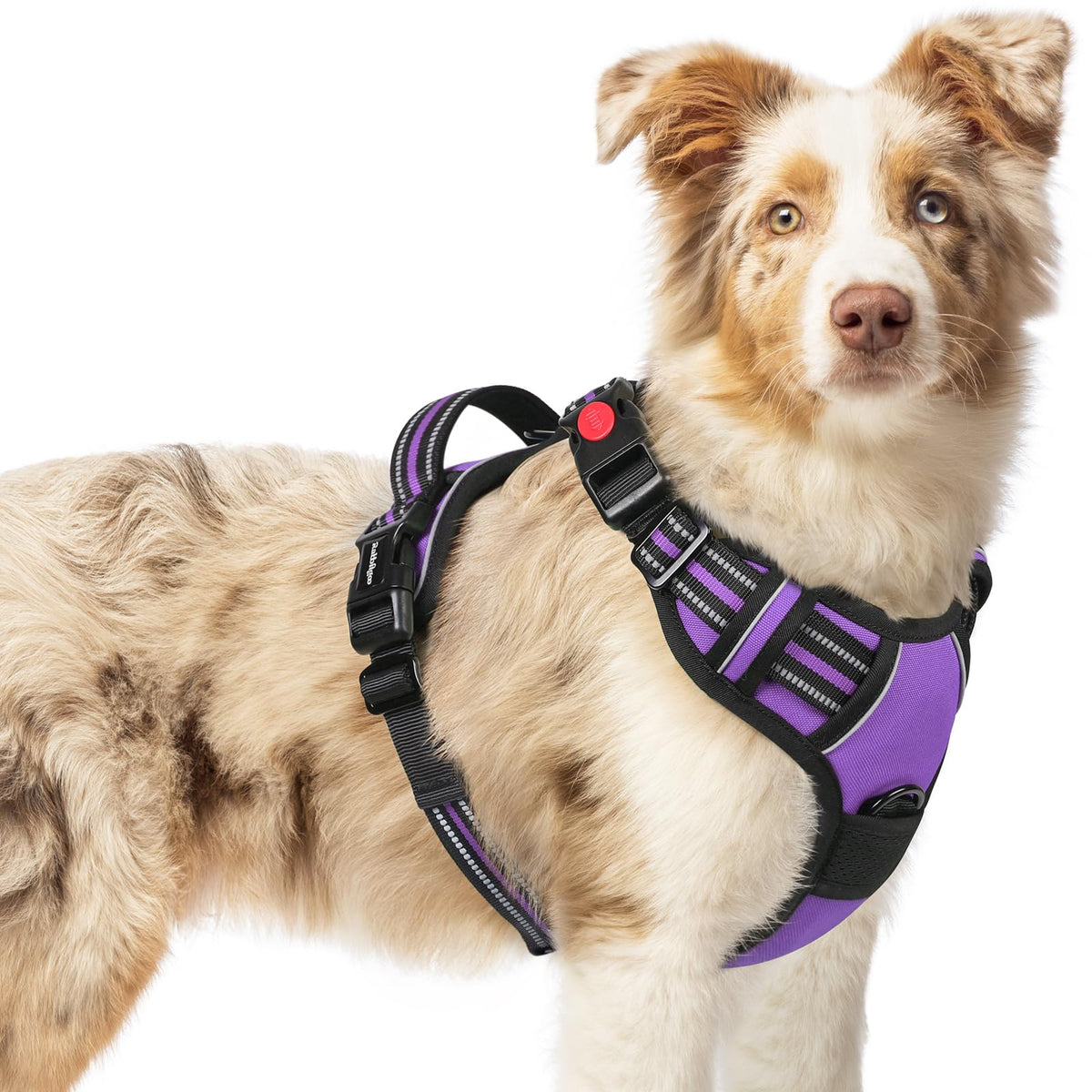 Rabbitgoo Dog Harness Medium Sized, No Pull Pet Harness With 3 Buckles, Adjustable Soft Padded Pooch Vest With Instant Control Handle, Easy Walking Reflective Pet Vest For Medium Dogs, Purple, M