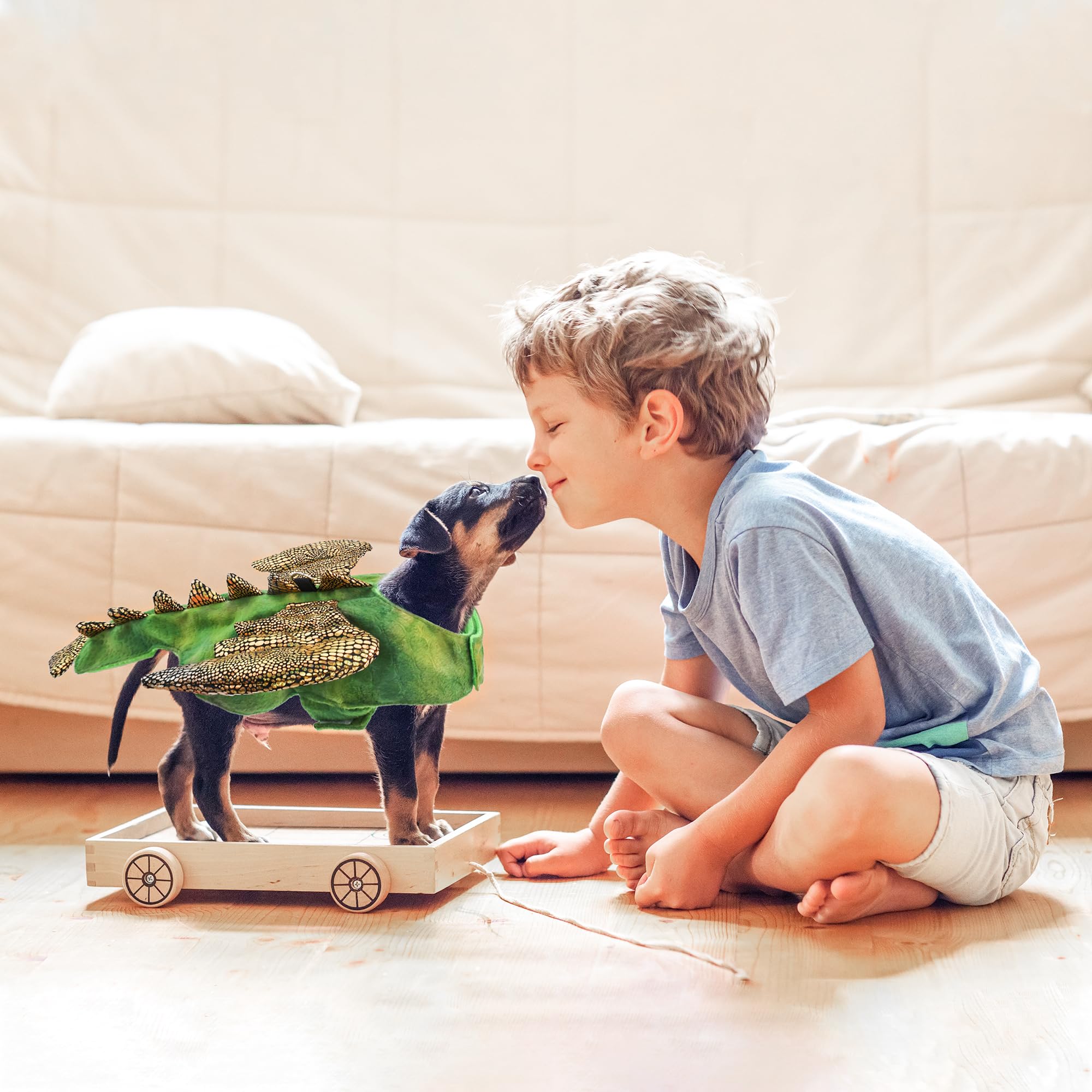 Nacoco Halloween Small Puppy Costume - Pet Dinosaur Cosplay Rabbit Outfit Kitten Animal Bunny Puppy Small Dog Cat Cute Clothes F