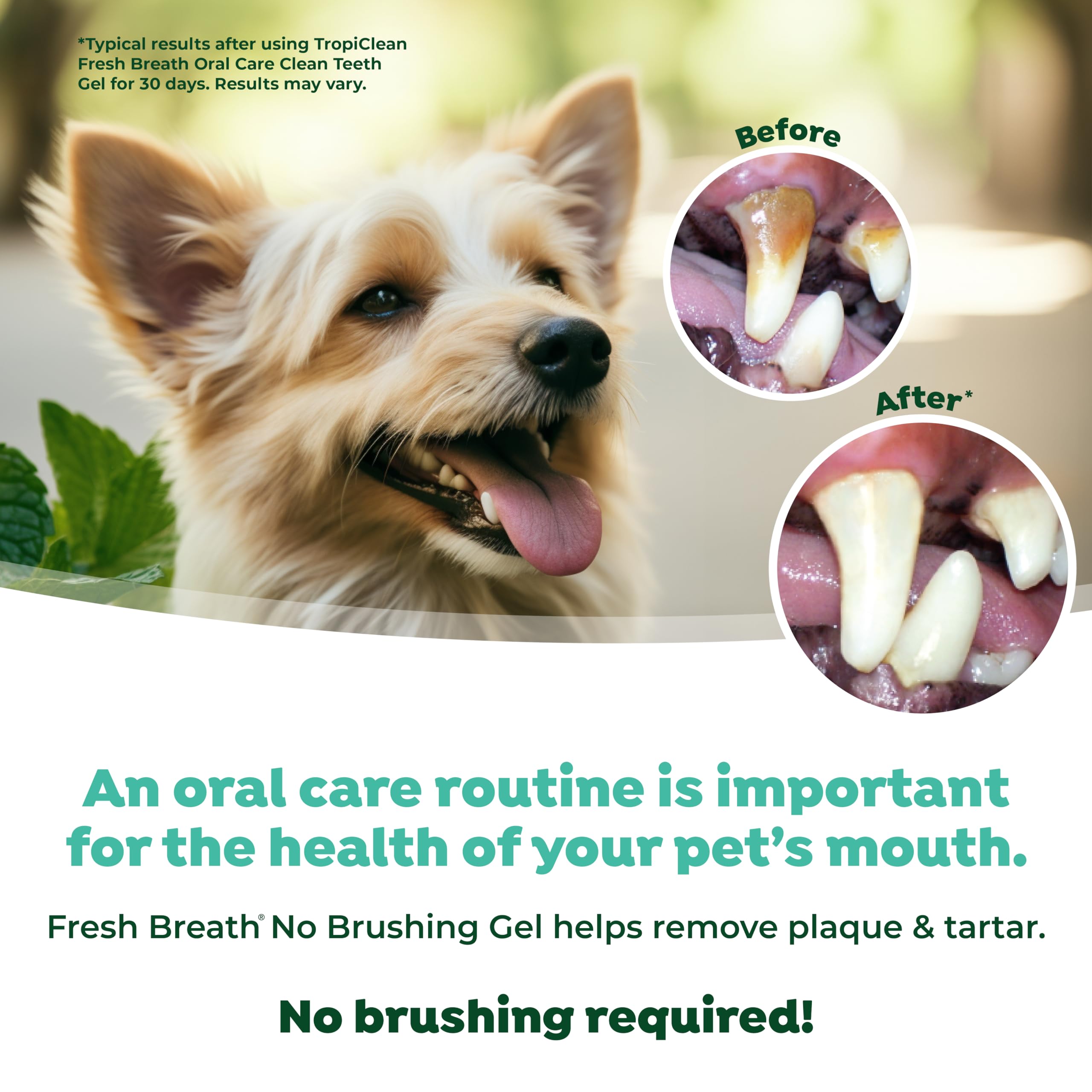 TropiClean Fresh Breath for Dogs | No Brush Dental Gel for Dogs Peanut Butter Flavor | Dog Toothpaste for Plaque, Tartar & Stink