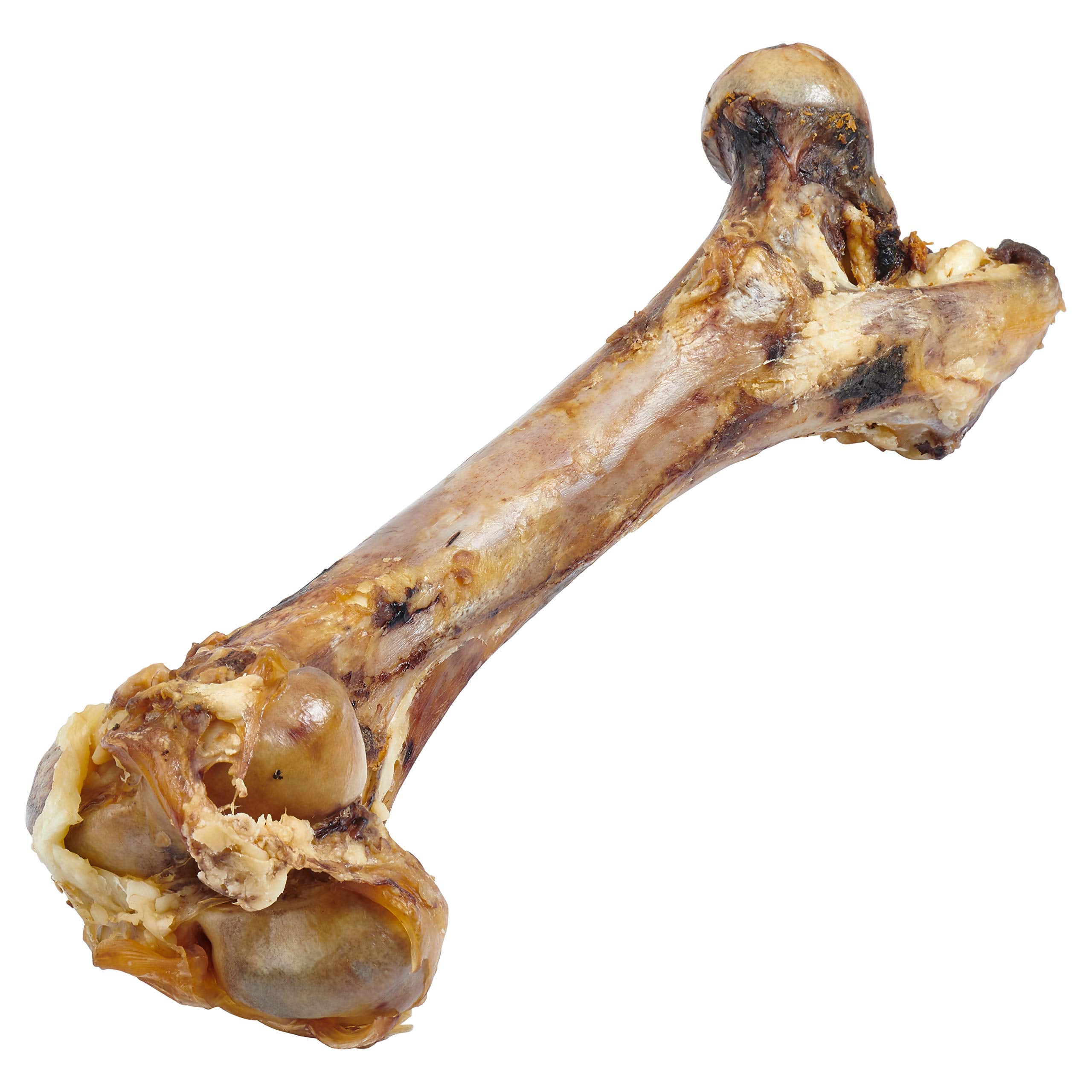 EcoKind Dog Bone Giant Femur Bone for Dogs | 1 Bone | Long Lasting Mammoth Dog Bones for Aggressive Chewers, Rawhide Free Health