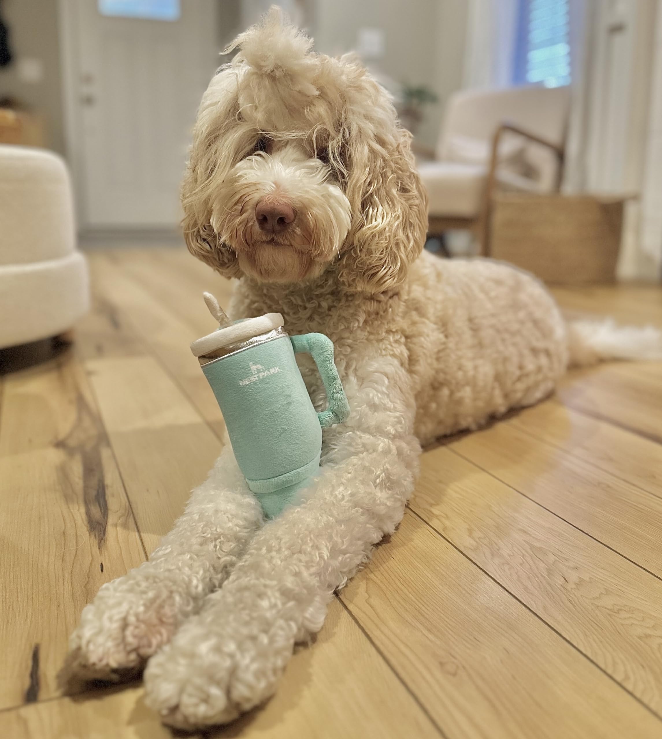 Nestpark Tumbler Cup Funny Dog Toy - Parody Plush Squeaky Crinkle Dog Toy (Seafoam Green)