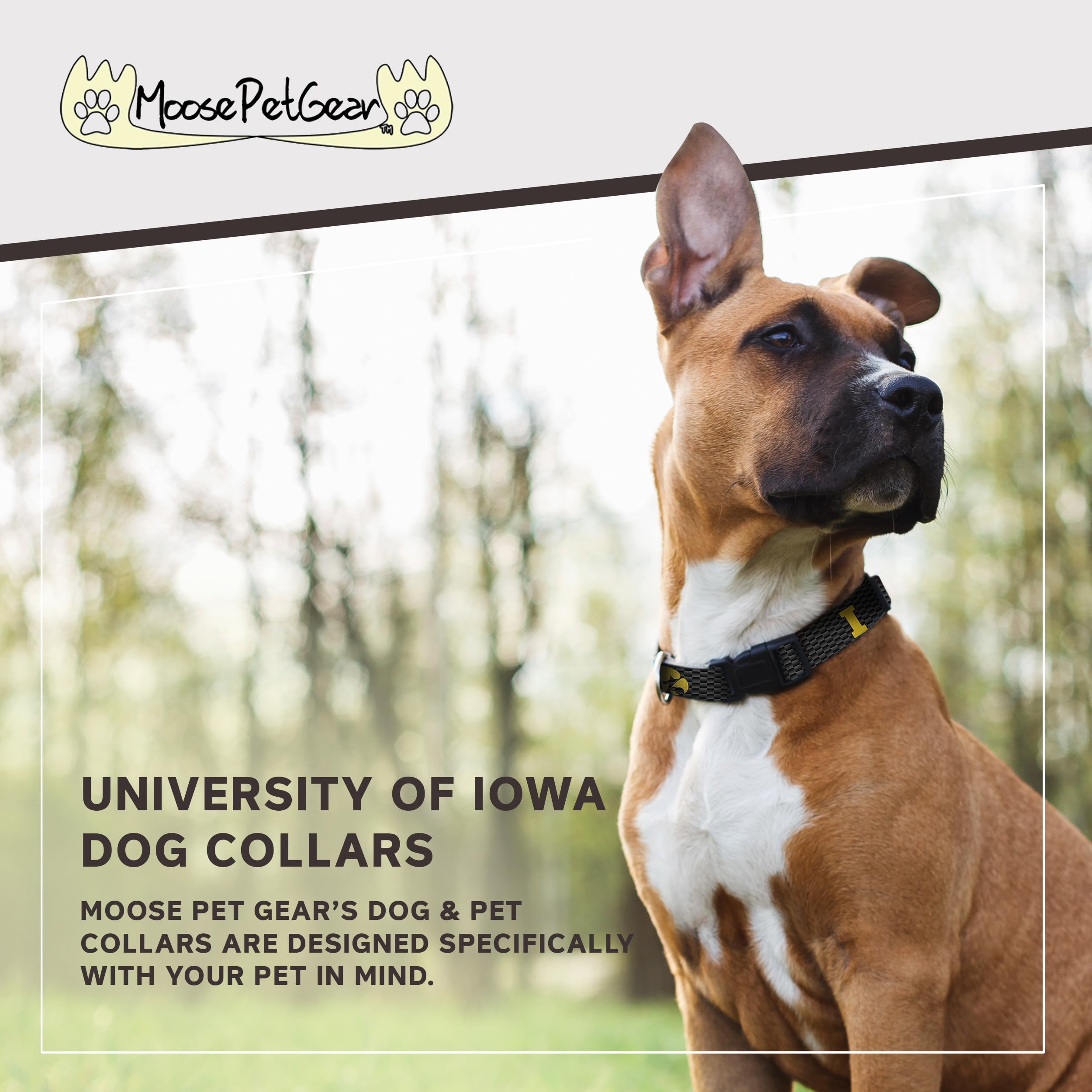 Moose Pet Wear Dog Collar – University Of Iowa Adjustable Pet Collars, 1 Inch Wide, Medium, Carbon Fiber