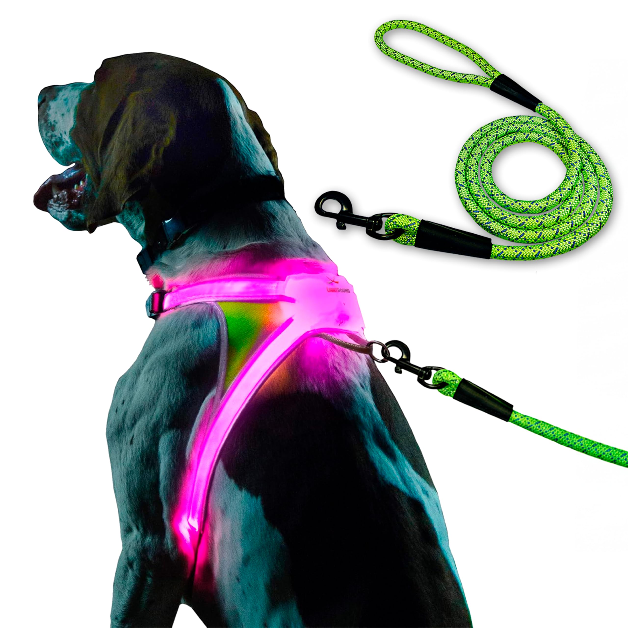 Noxgear LightHound (X-Large) + High-Visibility Dog Leash - Illuminated and Reflective Harness for Dogs Including Multicolored LE