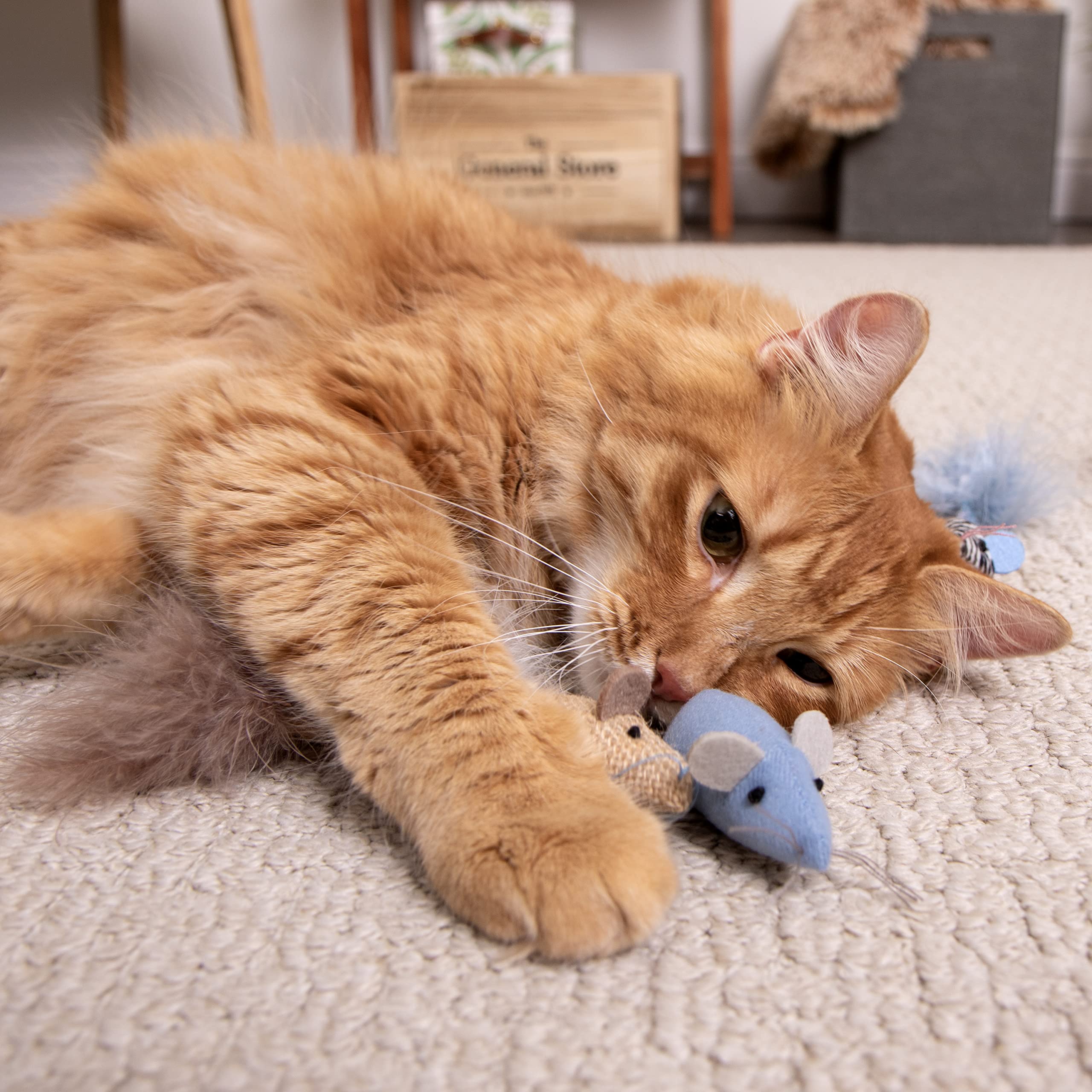 Smartykat Instincts 3-Pack Catnip Caravan Mice Plush Cat Toys, Contains Catnip & Silvervine - Multicolor, 3-Pack