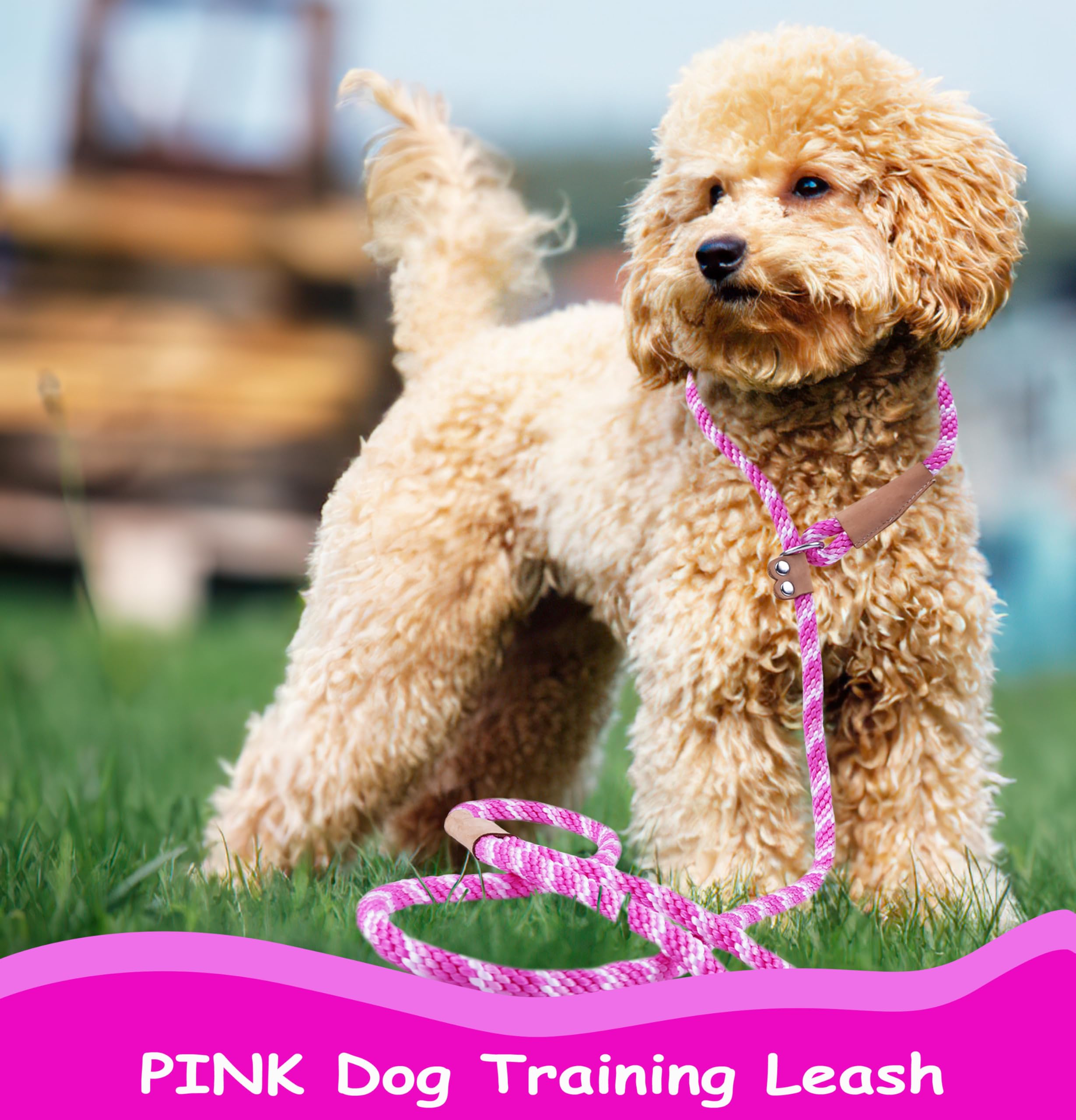 Classic Braided Rope Dog Leash - 6 Ft Slip Lead For Dogs (Pink, 3/8'')