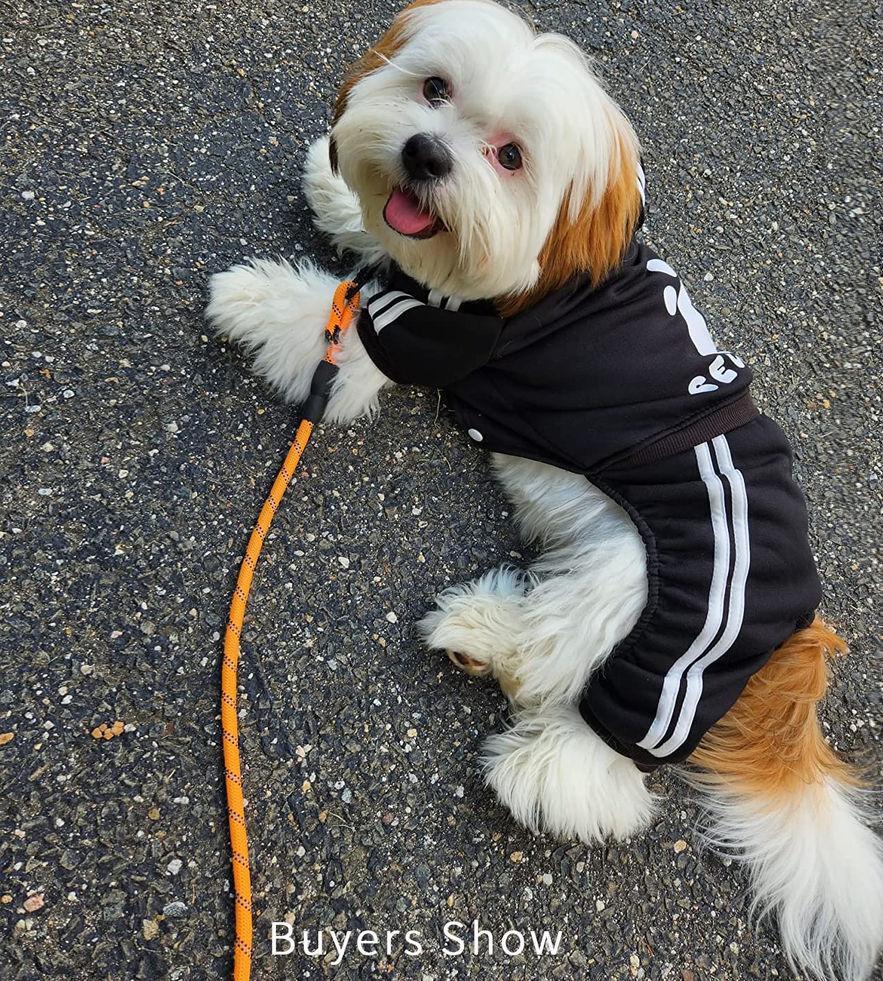 Otunrues Dog Hoodies, Pet Dog Clothes Pullover 4 Legs Jumpsuit Sweatshirt Security Patterns Outfit Doggie Winter Coat Cotton Puppy Hoodied For Small Medium Large Dogs Cats(Black,Xs)