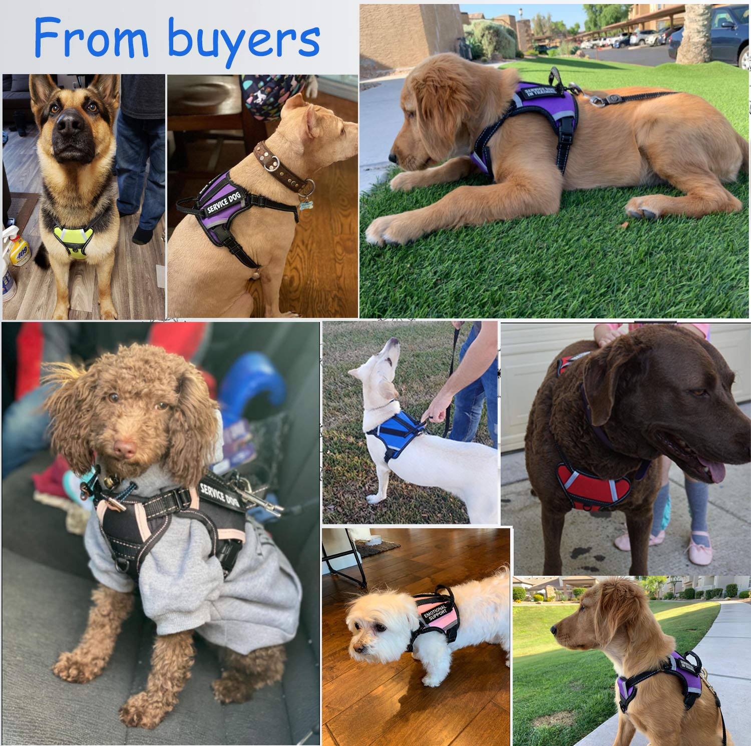 Cymiler Dog Harness,No-Pull Service Dog Harness With Handle,Adjustable Comfort Pet Dog Vest Harness For Outdoor Walking,3M Refle