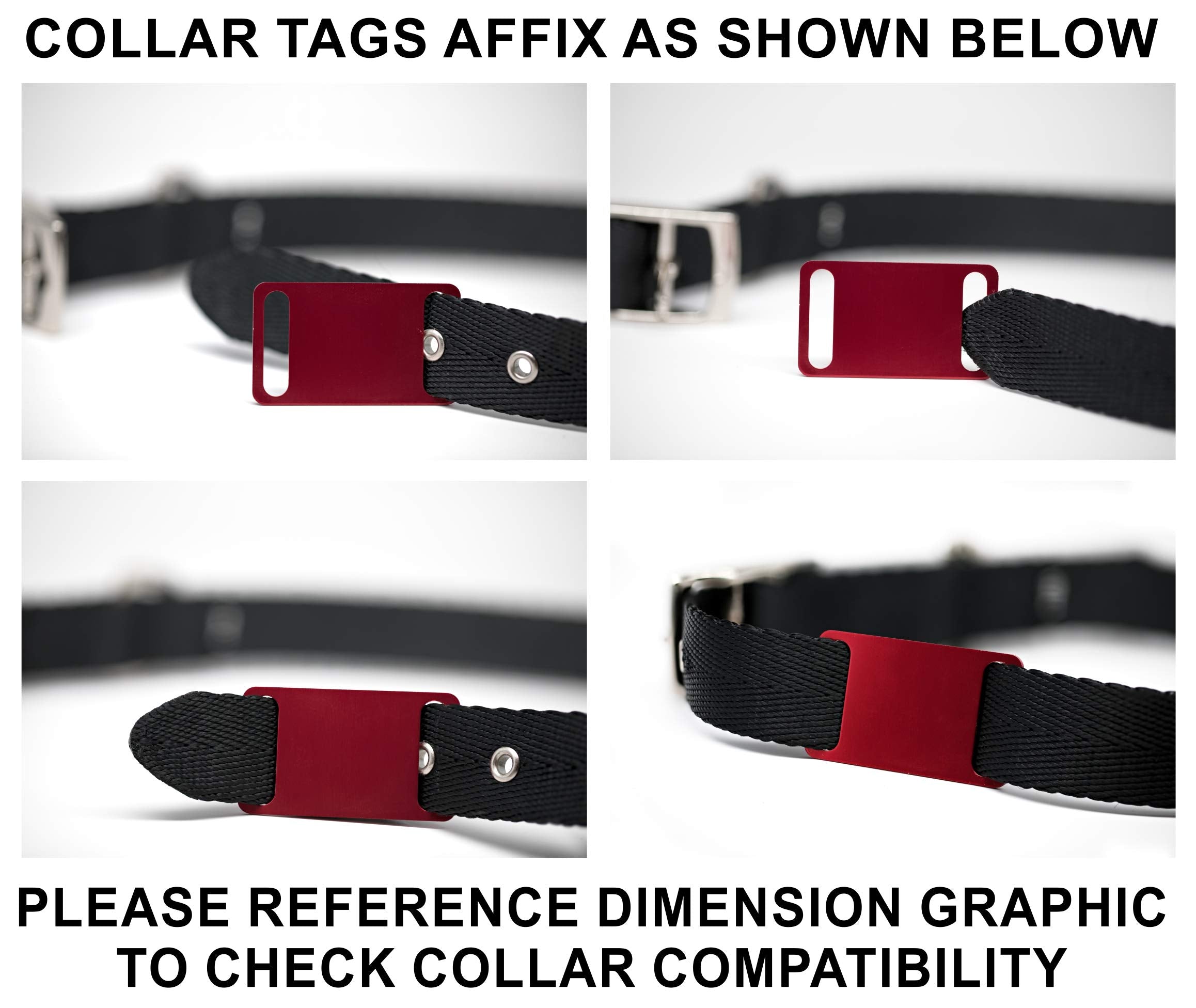 Slide-On Pet Id Tag | Collar Tag | 3 Sizes & 9 Colors To Choose From (Large, Black)