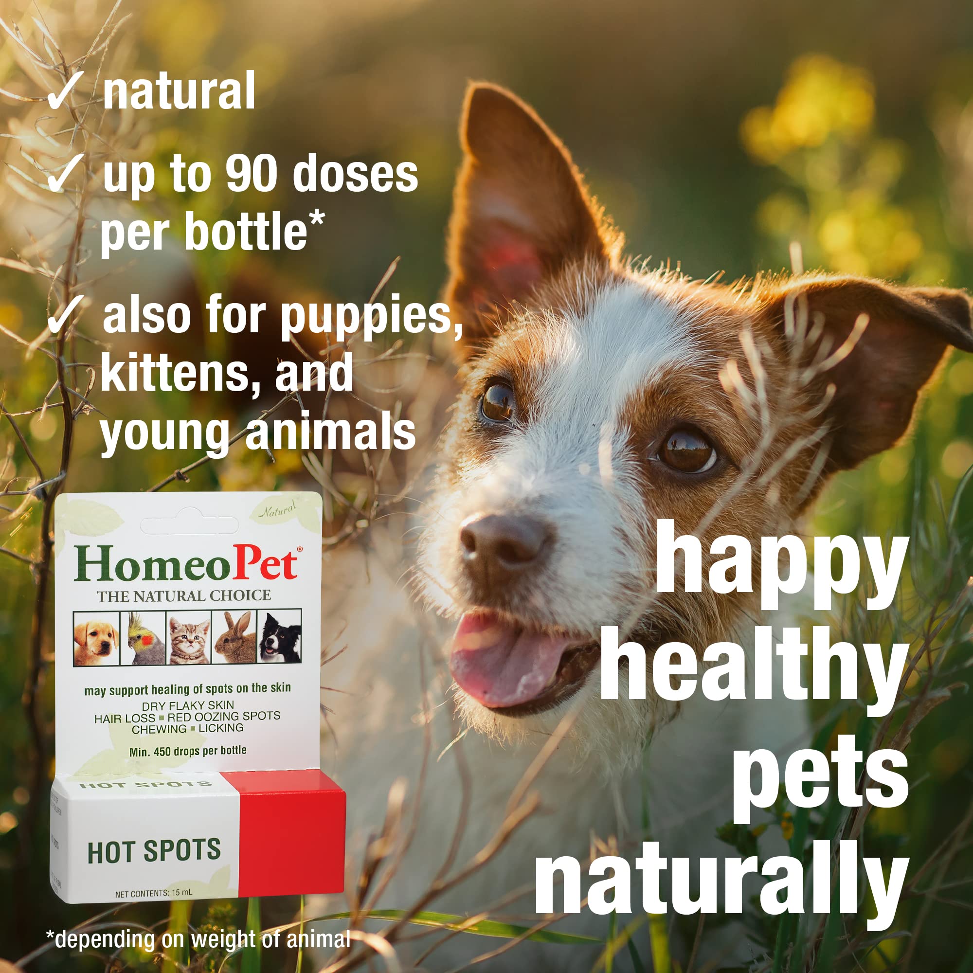 Hot Spot Relief For Dogs