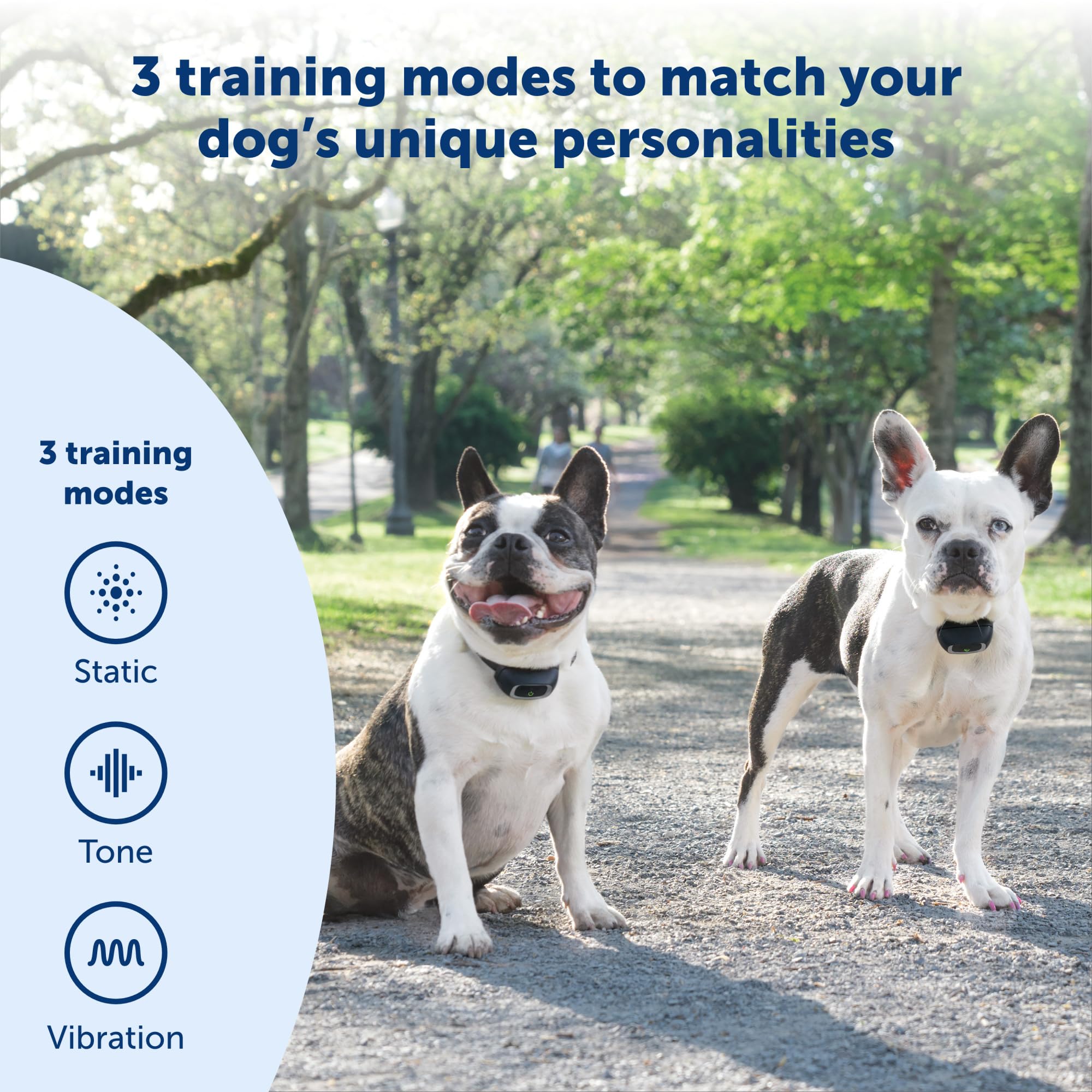 Petsafe Add-A-Dog Remote Training Collar - Smaller Version For Small Or Medium Dogs - Choose From Tone, Vibration, Or 15 Levels