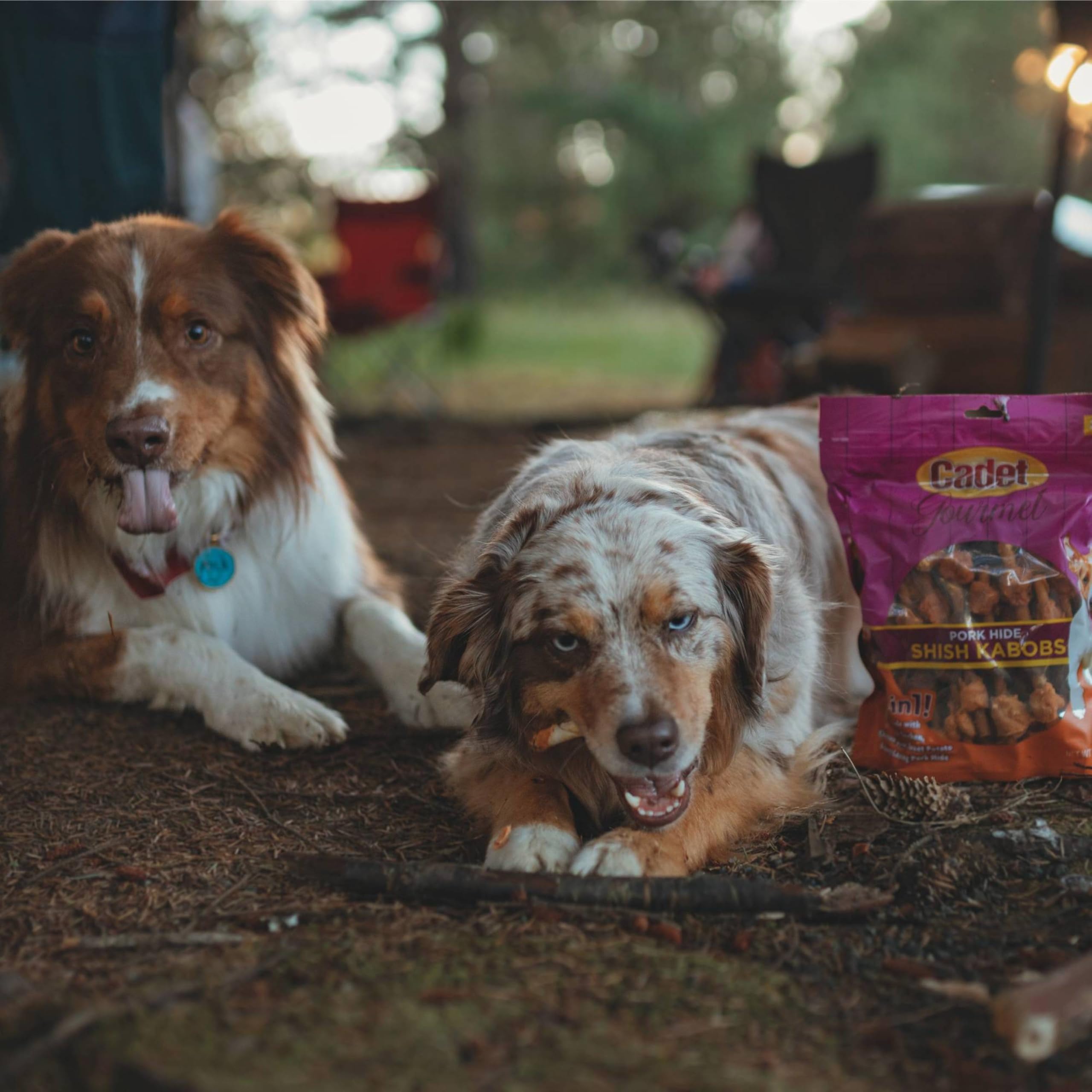 Cadet Gourmet Shish Kabob Dog Chews for Small Dogs, Rawhide Treats with Chicken, Duck and Sweet Potato, Healthy & Natural Pork H