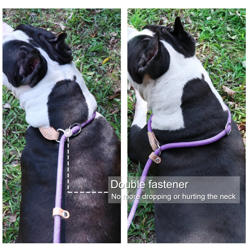 Grand Line Slip Lead Dog Leash, 5Ft Reflective Slip Rope, Puppy Training Walking Controlling Lead, Slip Collar Pet Leash For Small, Medium, Large Dogs (Purple, Medium-2/5In X 5Ft)