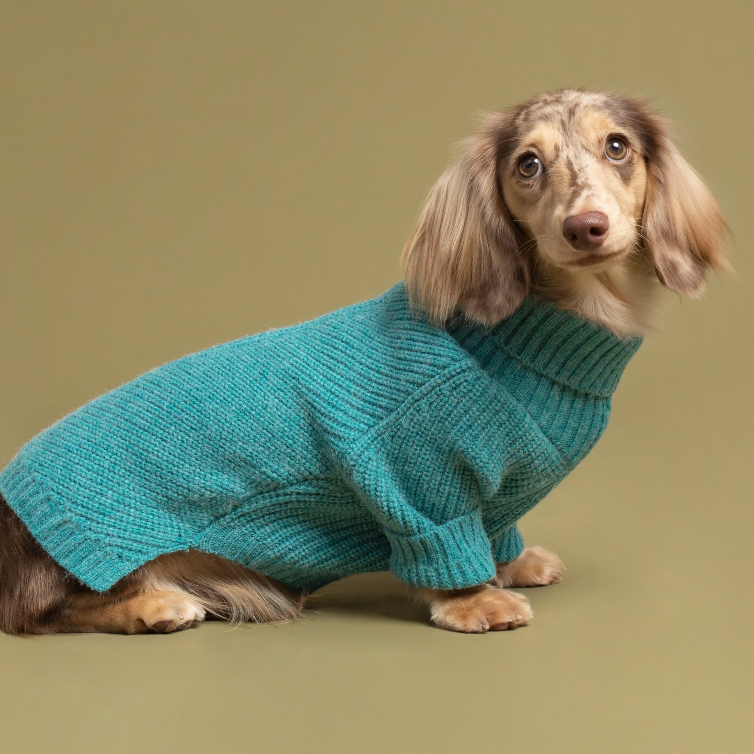 Fitwarm Turtleneck Dog Knitted Sweater, Thermal Dog Winter Clothes For Small Dogs Boy Girl, Dog Sweater Doggy Pullover Jumper, Pet Outfit, Teal Blue, Xxl