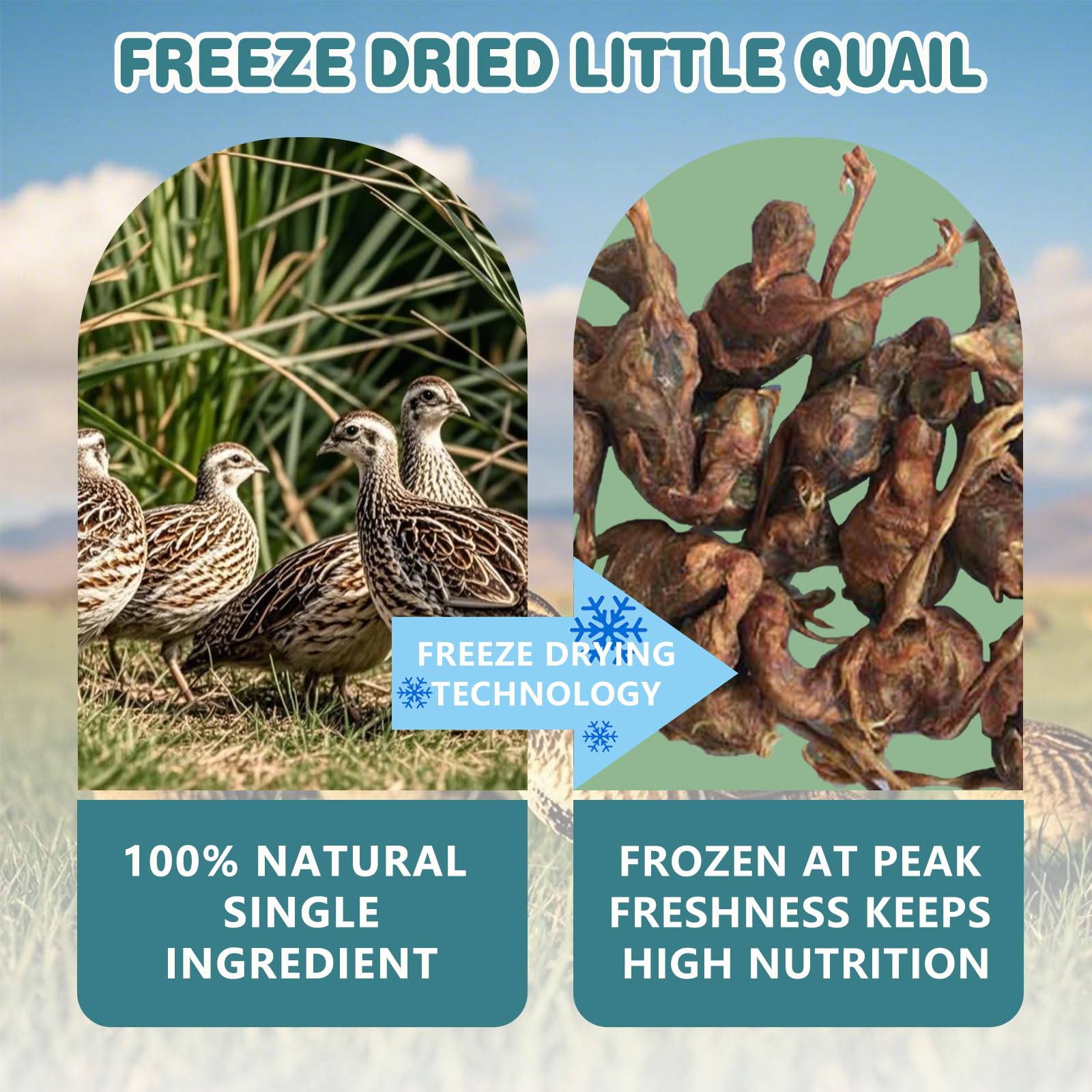 Freeze Dried Little Quail, 4.5 Oz Quail Dogs Cat Treats, Single Ingredient Freeze Dried Cat and Dog Treats Delicious Training Sn