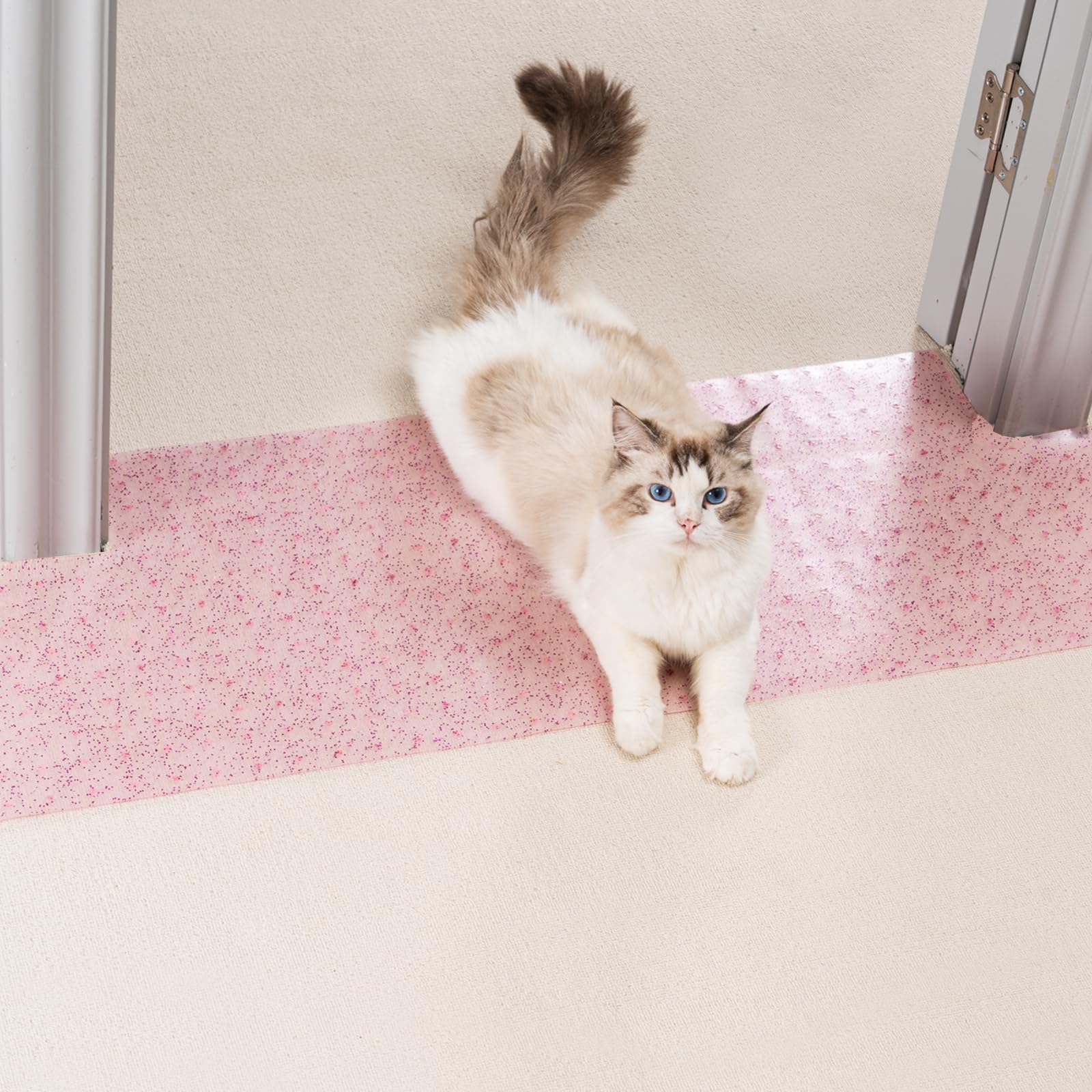 Uross Carpet Protector For Pets - Cat Carpet Protector For Doorway, Anti Scratch Under Door Cat Protector Mat, Easy To Cut Plast
