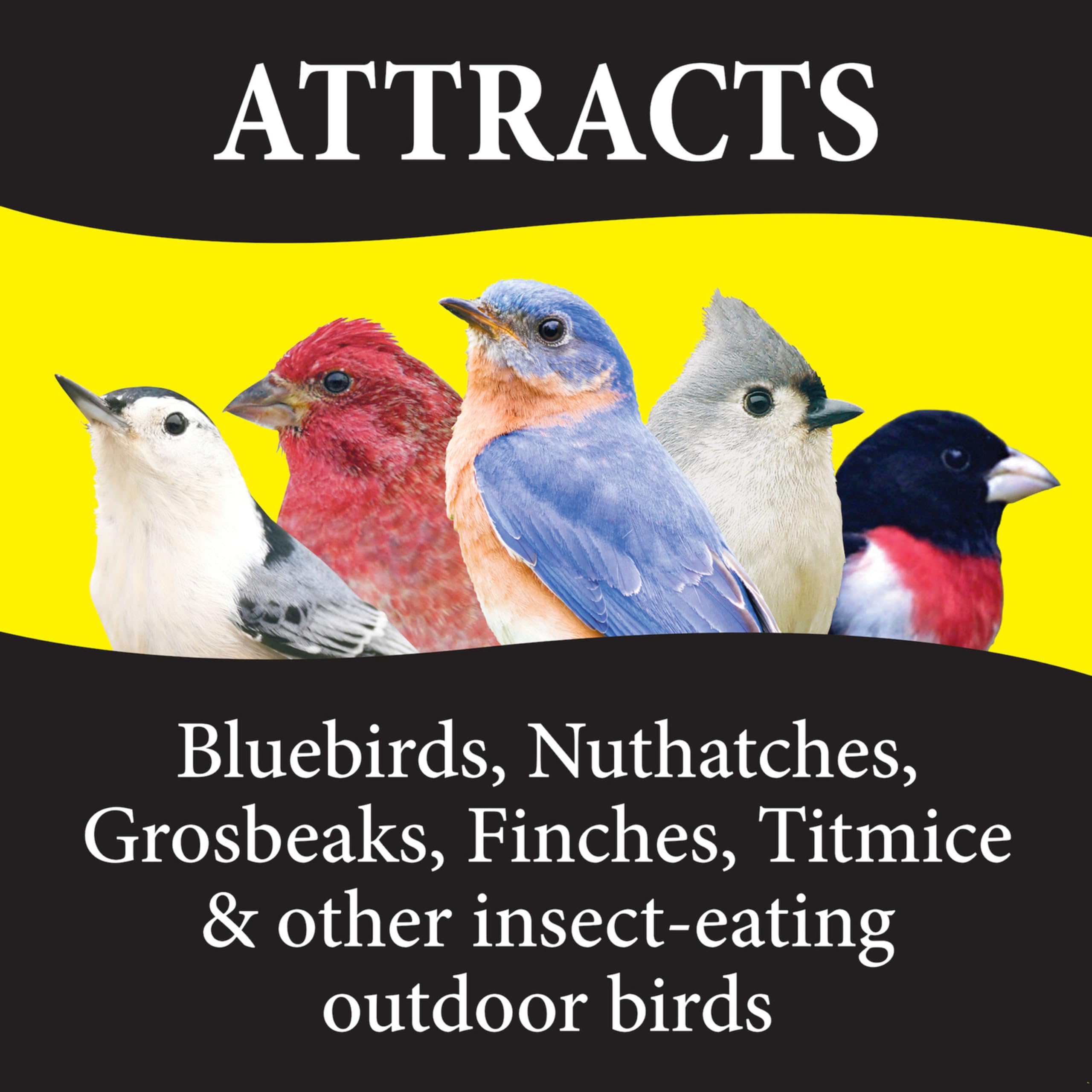 Wild Delight 099127 Bugs N Berries Wild Bird Food, 4.5 lb