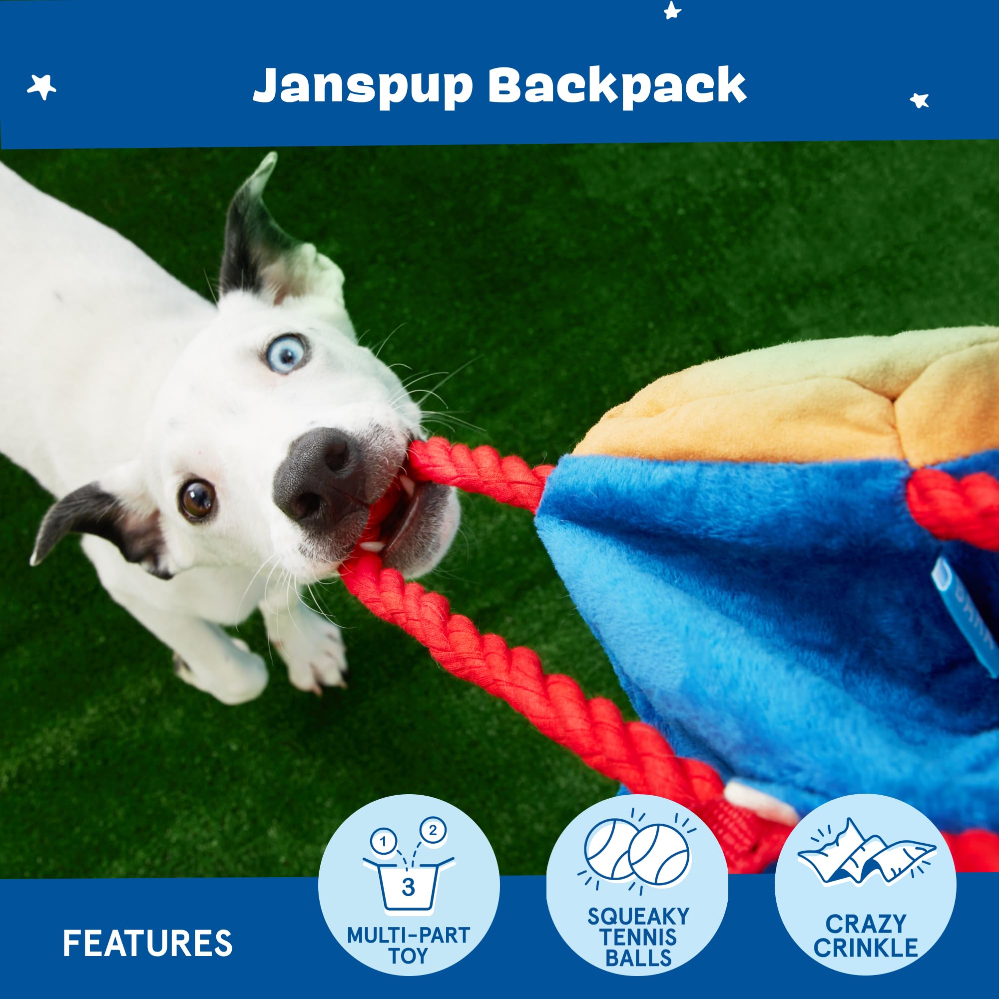 Barkbox Squeaker Ball Toys - Interactive Tennis Balls for Fetch & Training - Medium/Large Dog Plush Toys (2-in-1 Janspup Backpack)