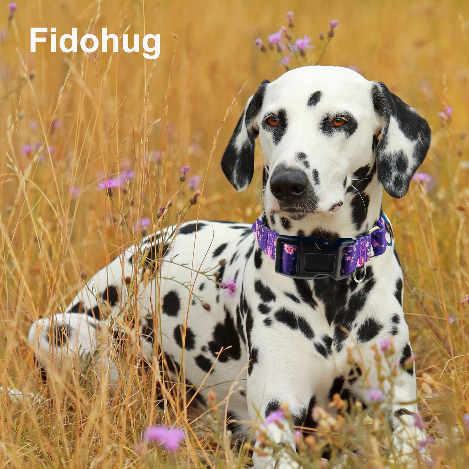 Fidohug Martingale Collar For Dogs With Buckle Purple Floral Girl Female Soft Nylon Dog Collars For Extra Large Dogs (Purple Flo