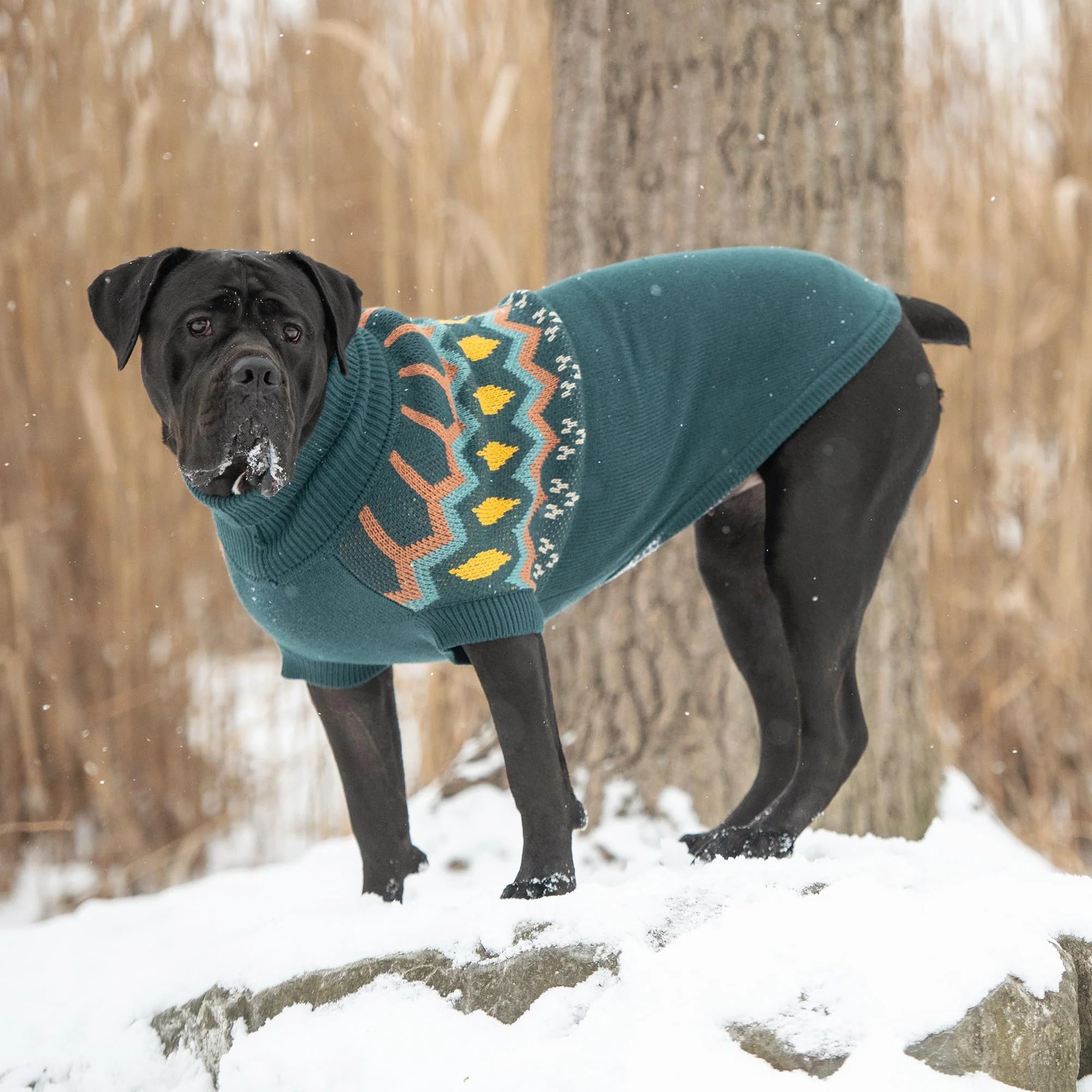 Gf Pet Heritage Sweater Dog Pullover – Classic Ribbed Knit Sweater For Dogs | Soft & Warm Acrylic | Timeless Design | Small, Medium, Large Pets – Teal, 2Xs
