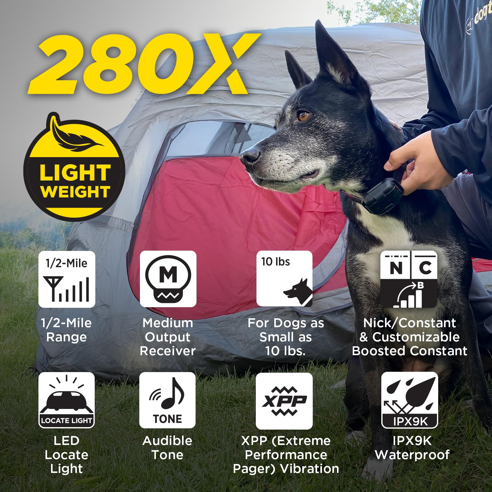 Dogtra 280X E-Collar - Remote Training Collar for Stubborn Dogs, 1/2 Mile Range, Waterproof, LED Light, Biothane Strap, 280X 1-Dog