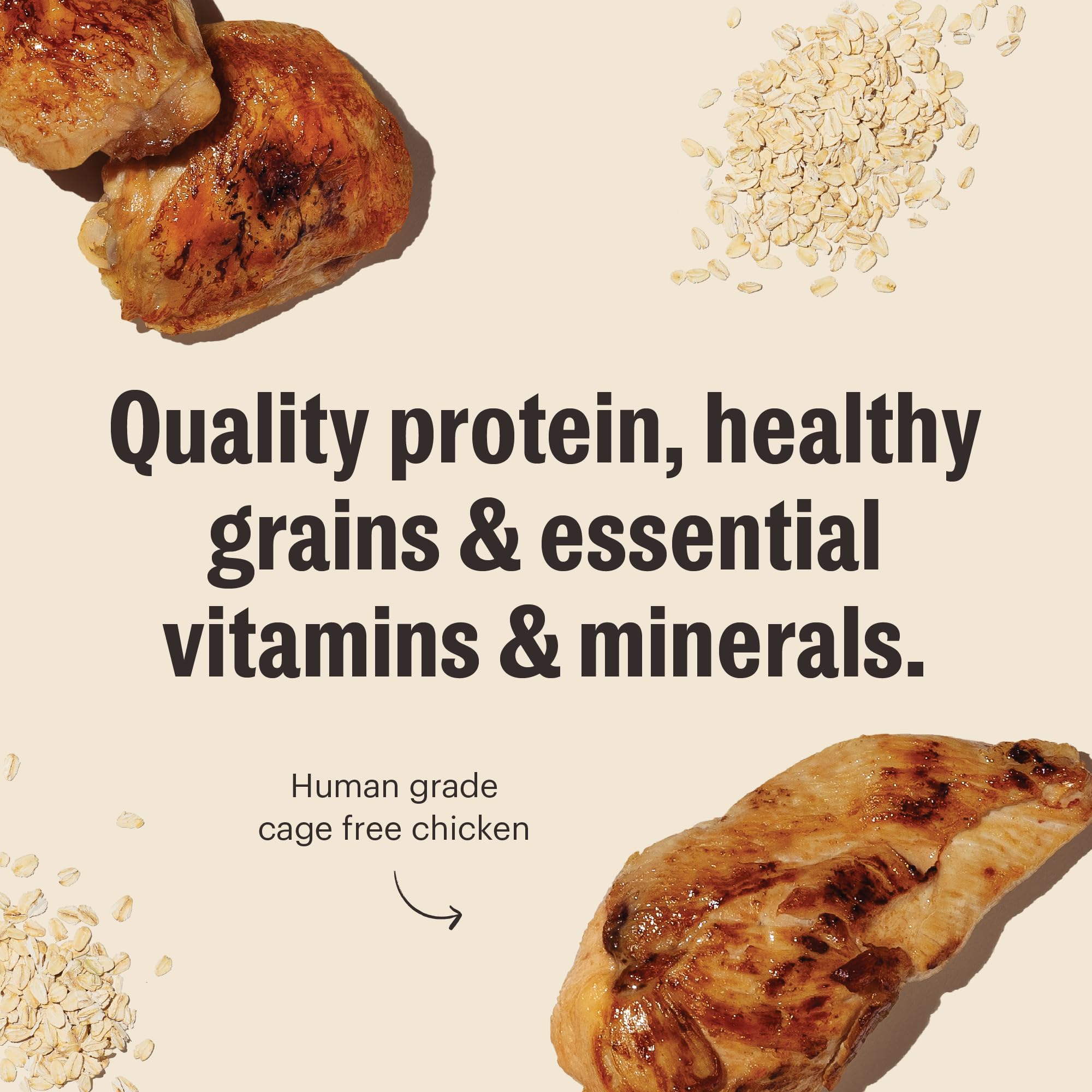 The Honest Kitchen Human Grade Essential Clusters Dry Dog Food, Whole Grain Chicken 5 lb Bag