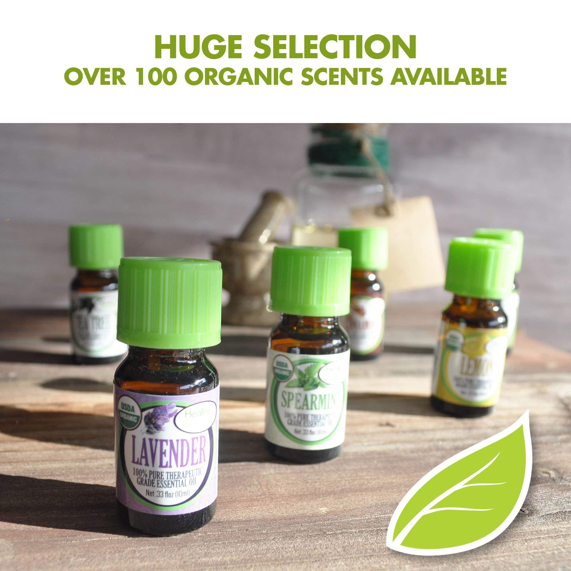 Healing Solutions Nutmeg Essential Oil - 10ml (0.33 Fl Oz) - Organic Aromatherapy Oil for Relaxation and Wellness