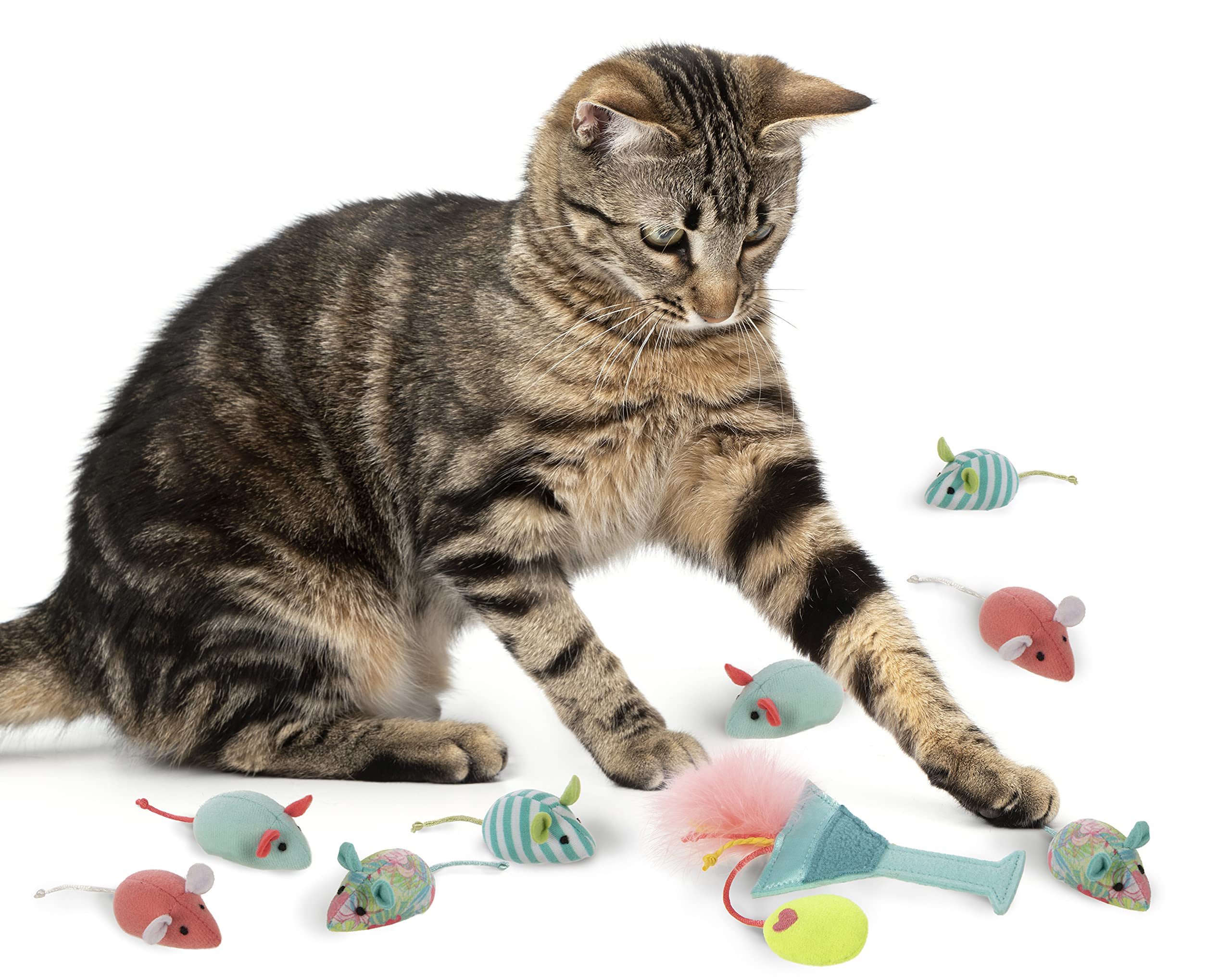 Smartykat (16 Set Bundle Birthday Bash Variety Pack Catnip Cat Toys - Multi Color, Set Of 16