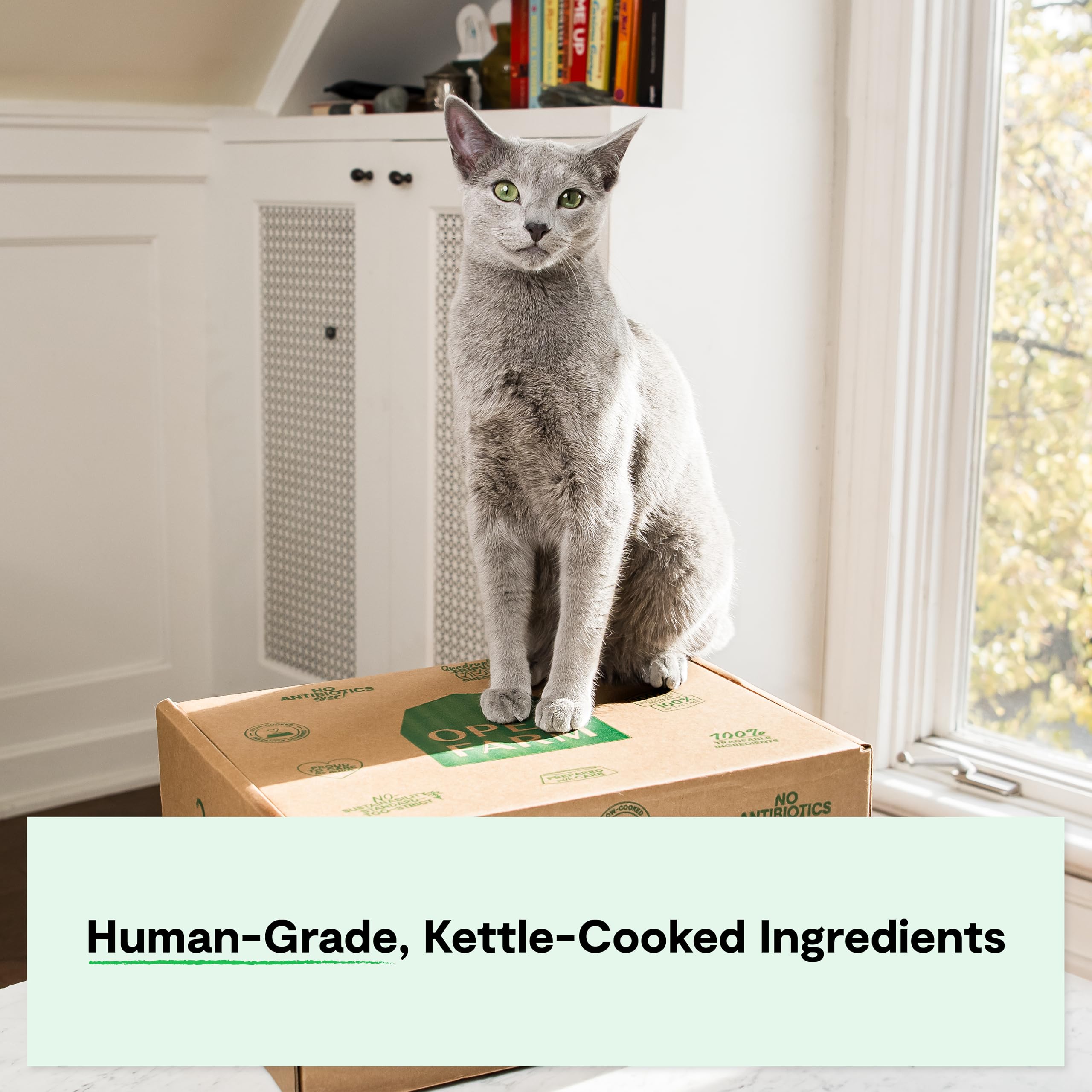 Open Farm Rustic Blend Wet Cat Food, Human-Grade Ingredients, 5.5oz Packs, Case of 12