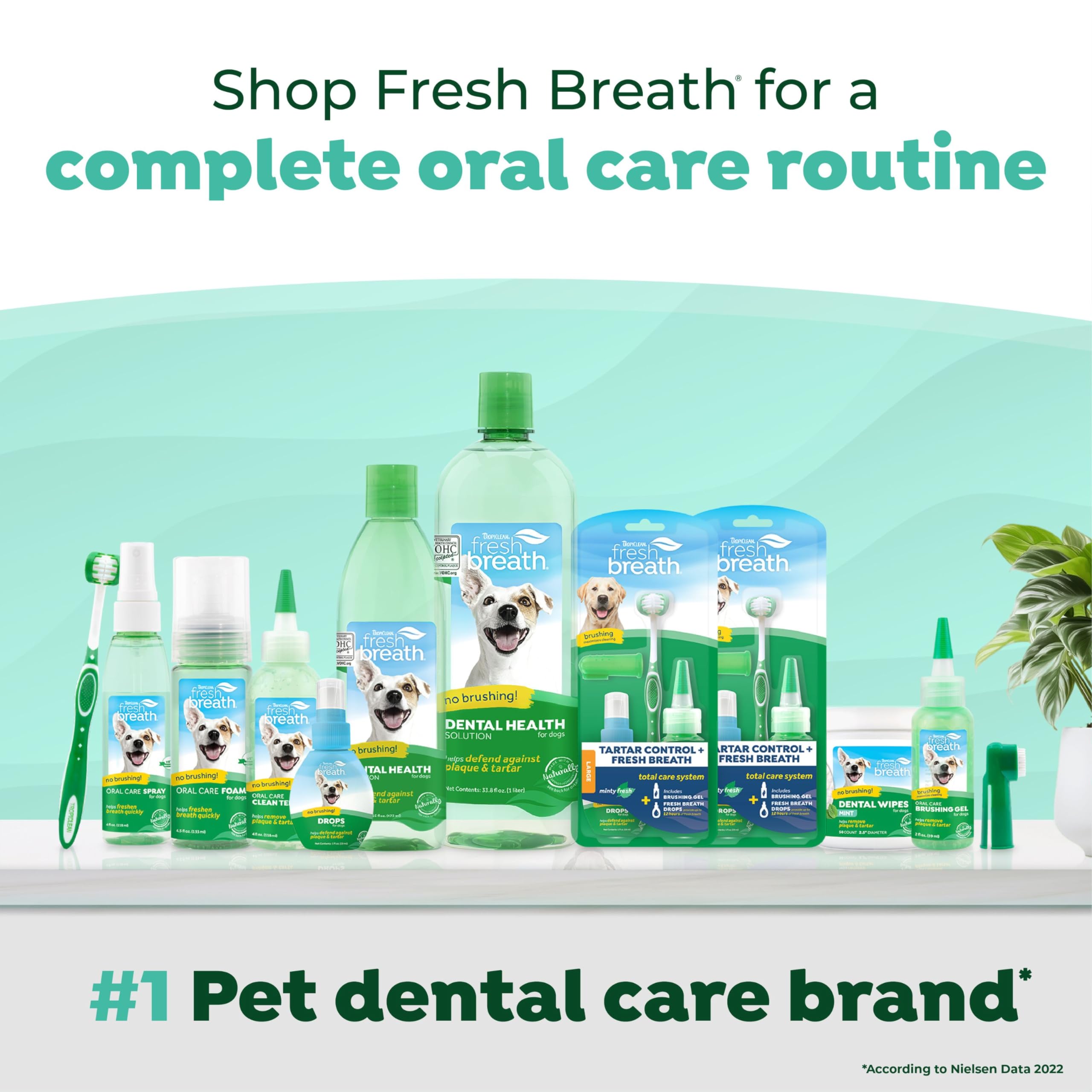 TropiClean Fresh Breath for Cats | Cat Dental Water Additive | Cat Breath Freshener for Healthy Cat Dental Care | Made in the US