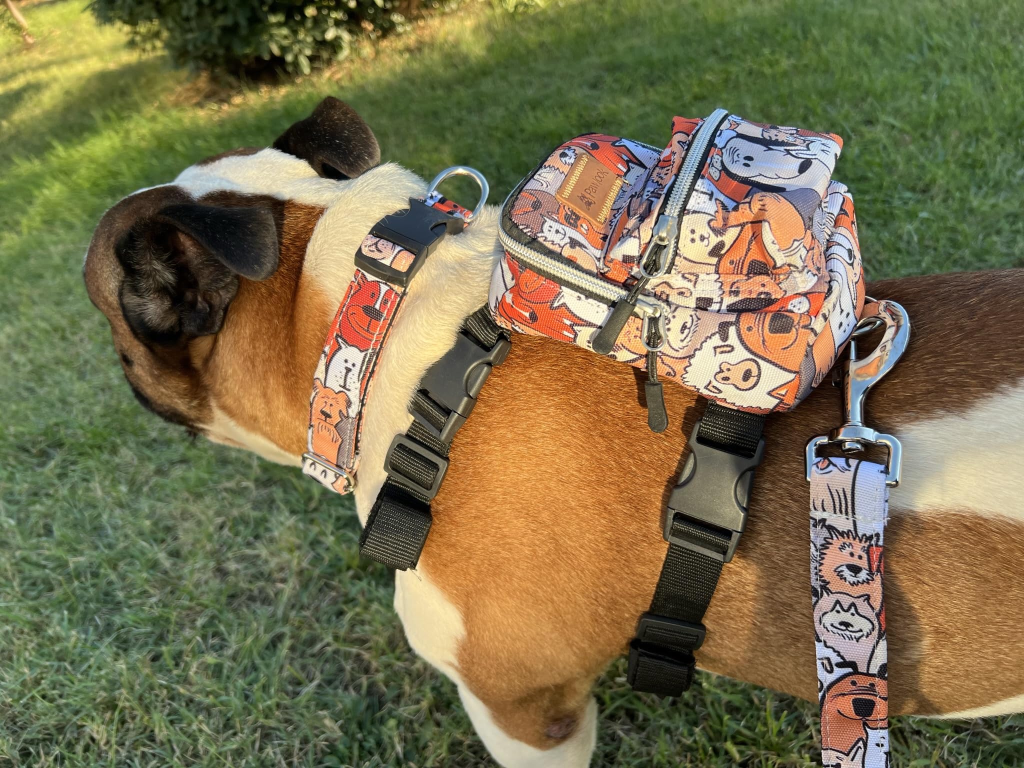 Pawlook Design Dog Backpack Harness With Leash-Stylish Dogbagpack-Poop Bag Dispenser Dog Backpack-Dog Self Carrier Backpack-Dog